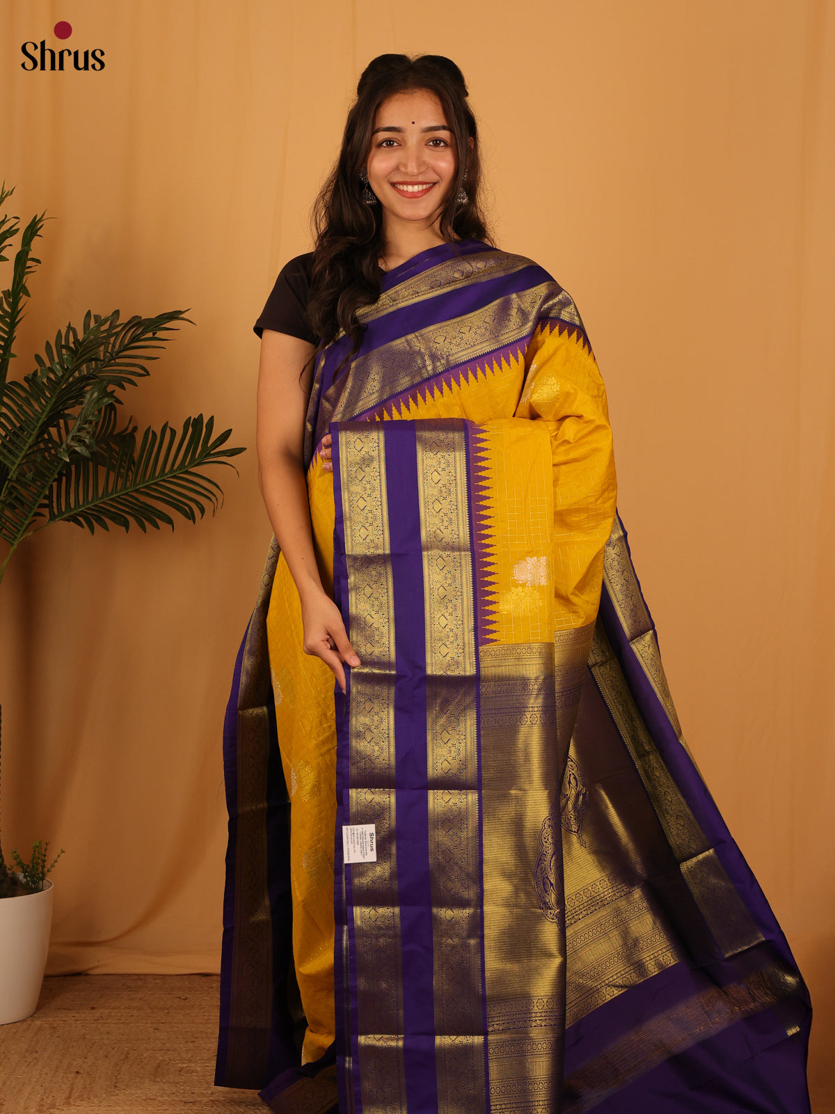 Mustard & Purple - Bangalori silk Saree - Shop on Shrus.com