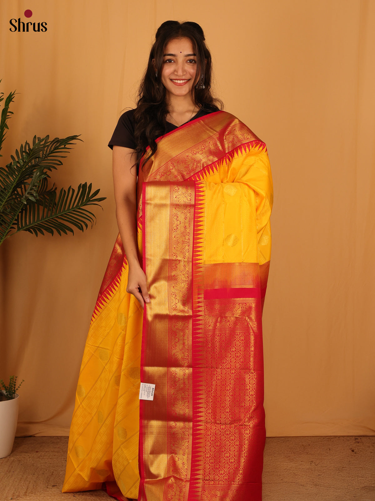 Yellow & Red - Bangalori silk Saree - Shop on Shrus.com