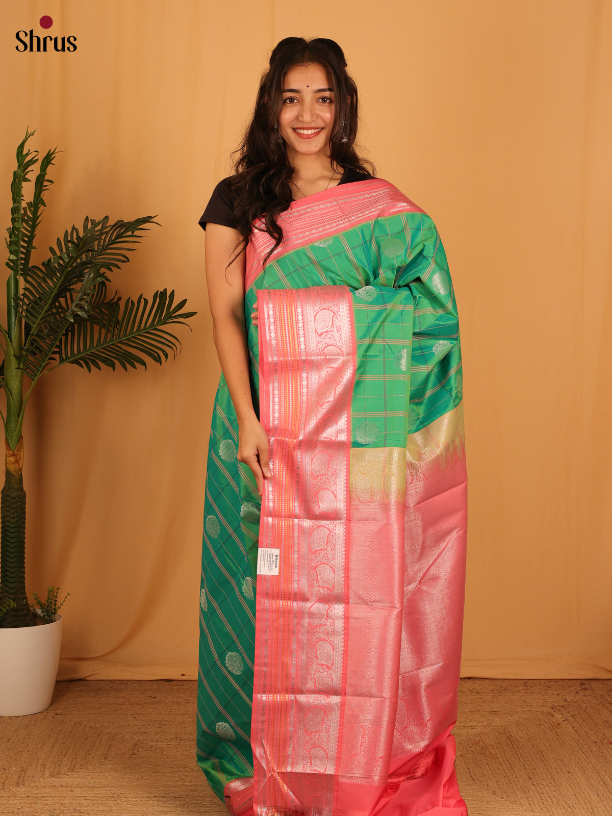Green & Pink - Bangalori silk Saree - Shop on Shrus.com