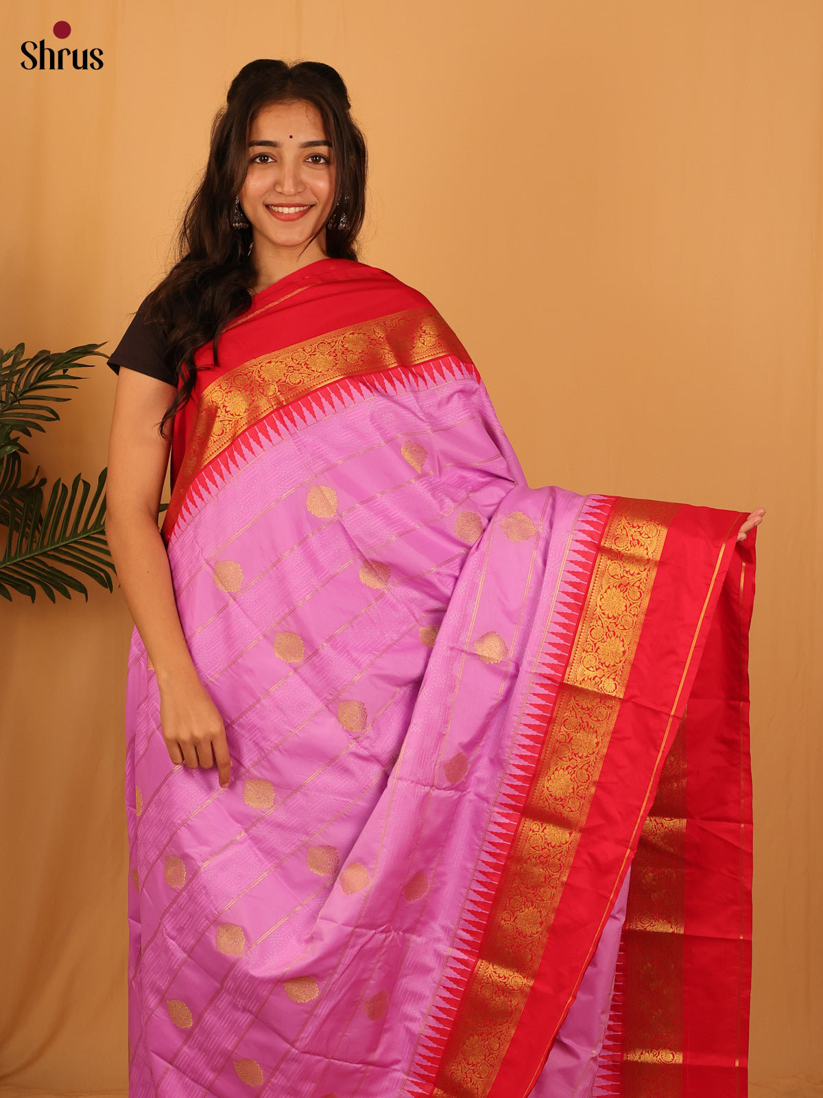 Lavender & Red- Bangalori silk Saree - Shop on Shrus.com
