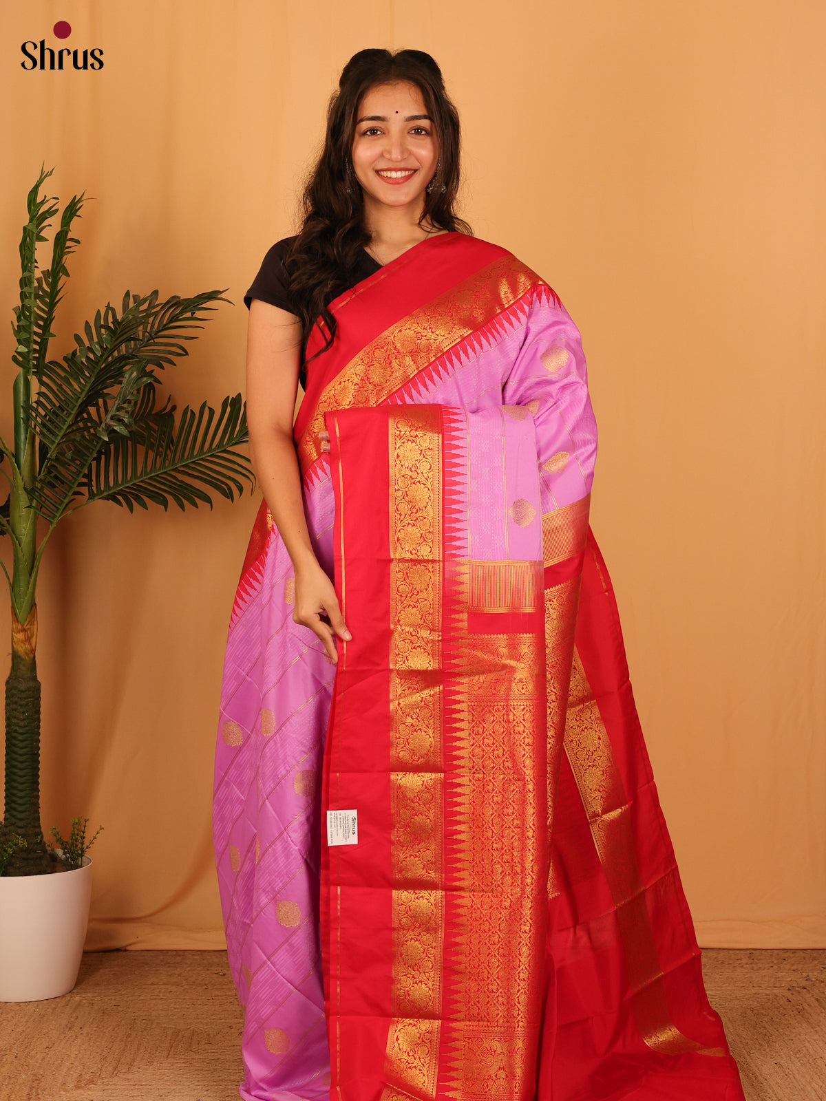 Lavender & Red- Bangalori silk Saree - Shop on Shrus.com