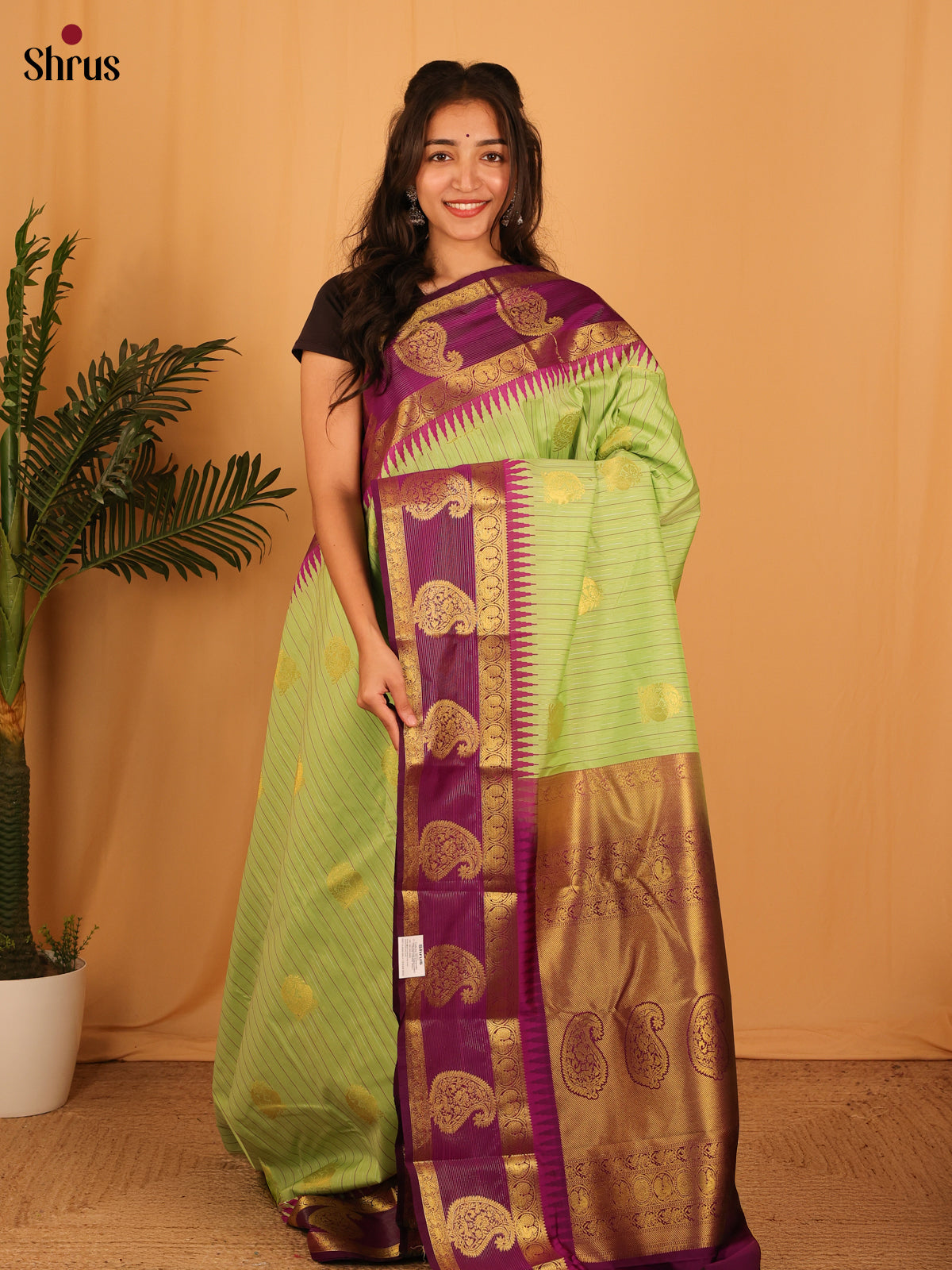 Green & Purple - Bangalori silk Saree - Shop on Shrus.com