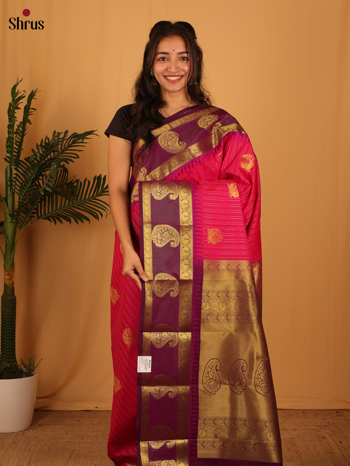 Pink & Violet- Bangalori silk Saree - Shop on Shrus.com