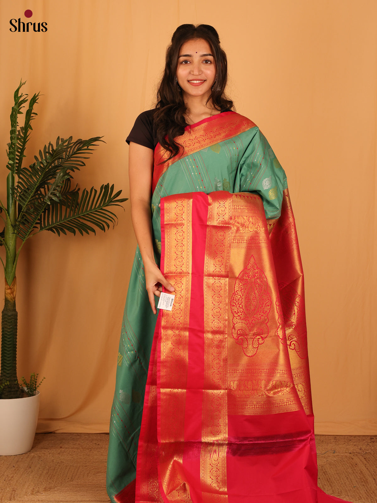 Green & Red - Bangalori silk Saree - Shop on Shrus.com