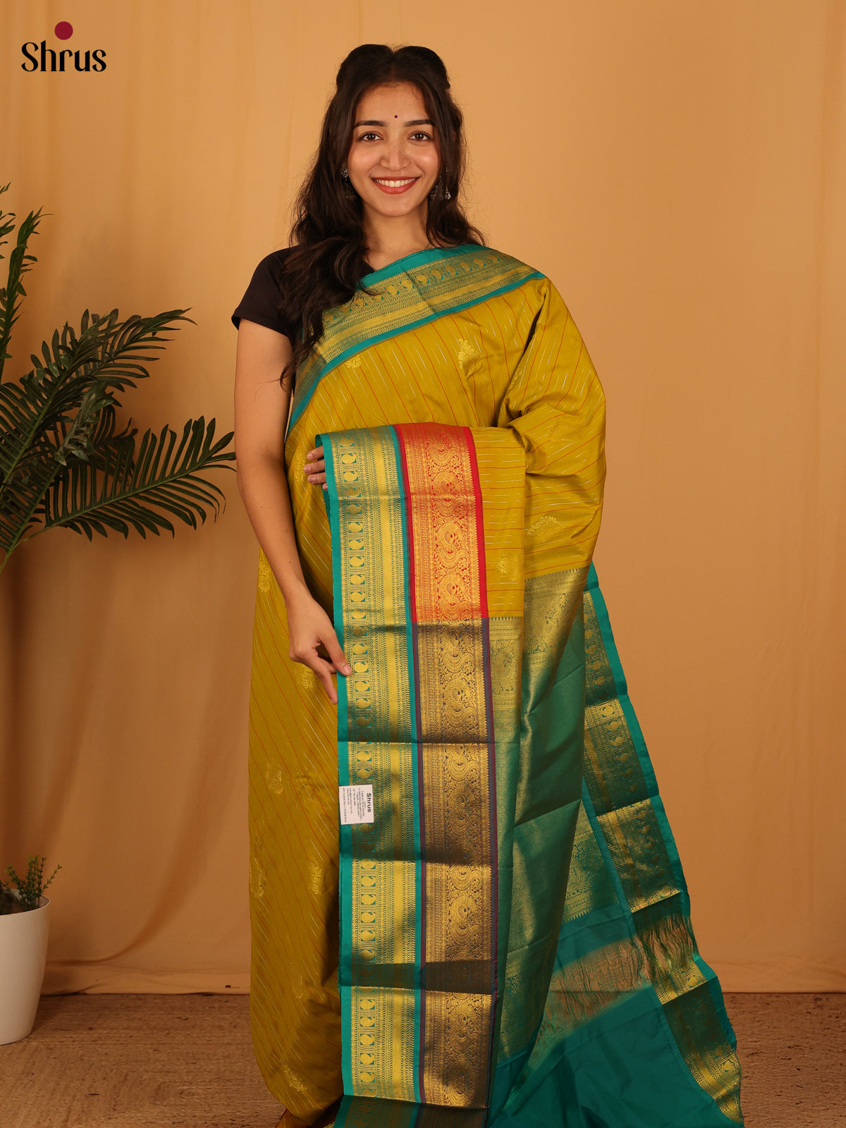 Mustardy Green & Teal- Bangalori silk Saree - Shop on Shrus.com
