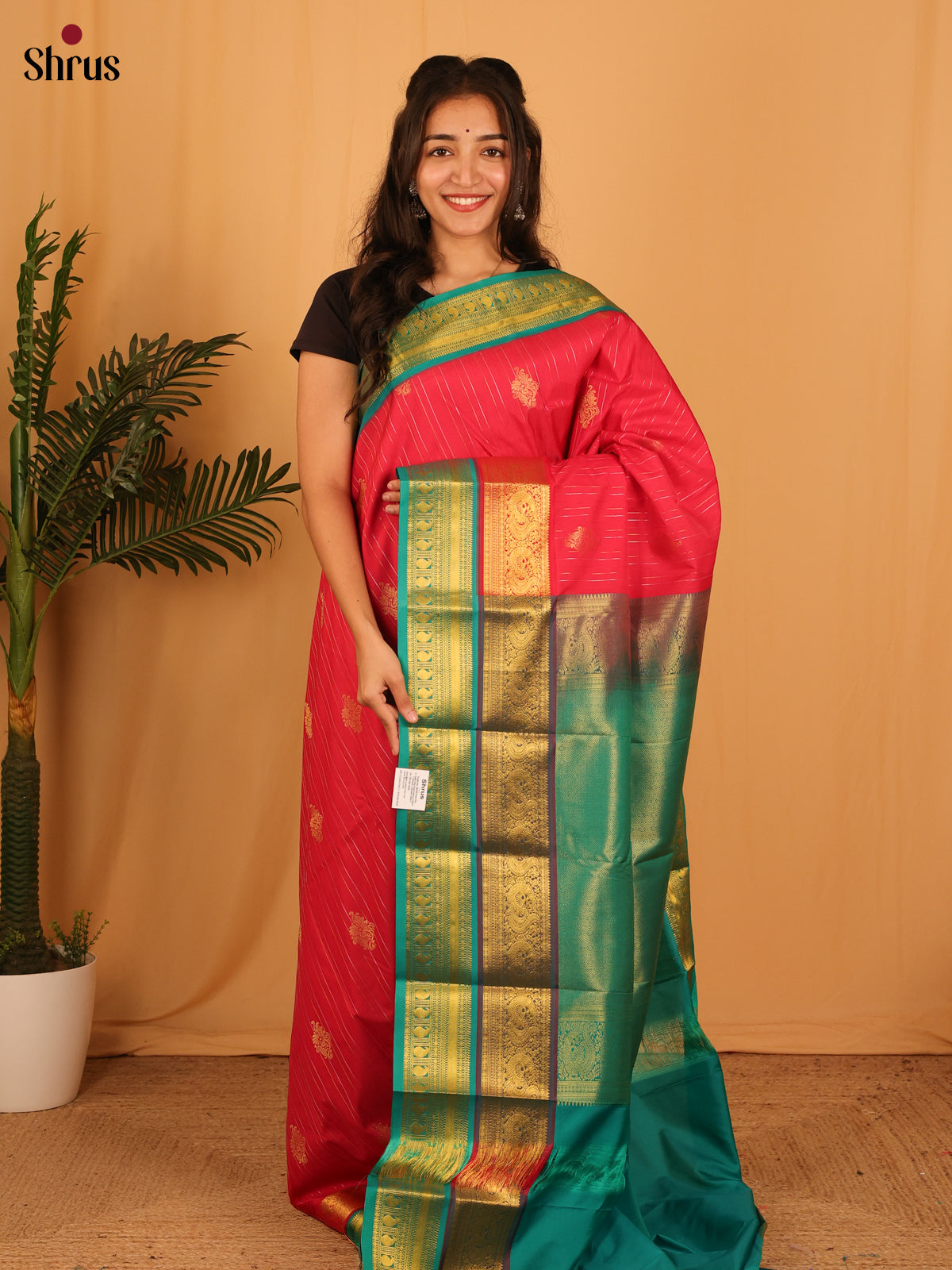 Pink & Teal - Bangalori silk Saree - Shop on Shrus.com