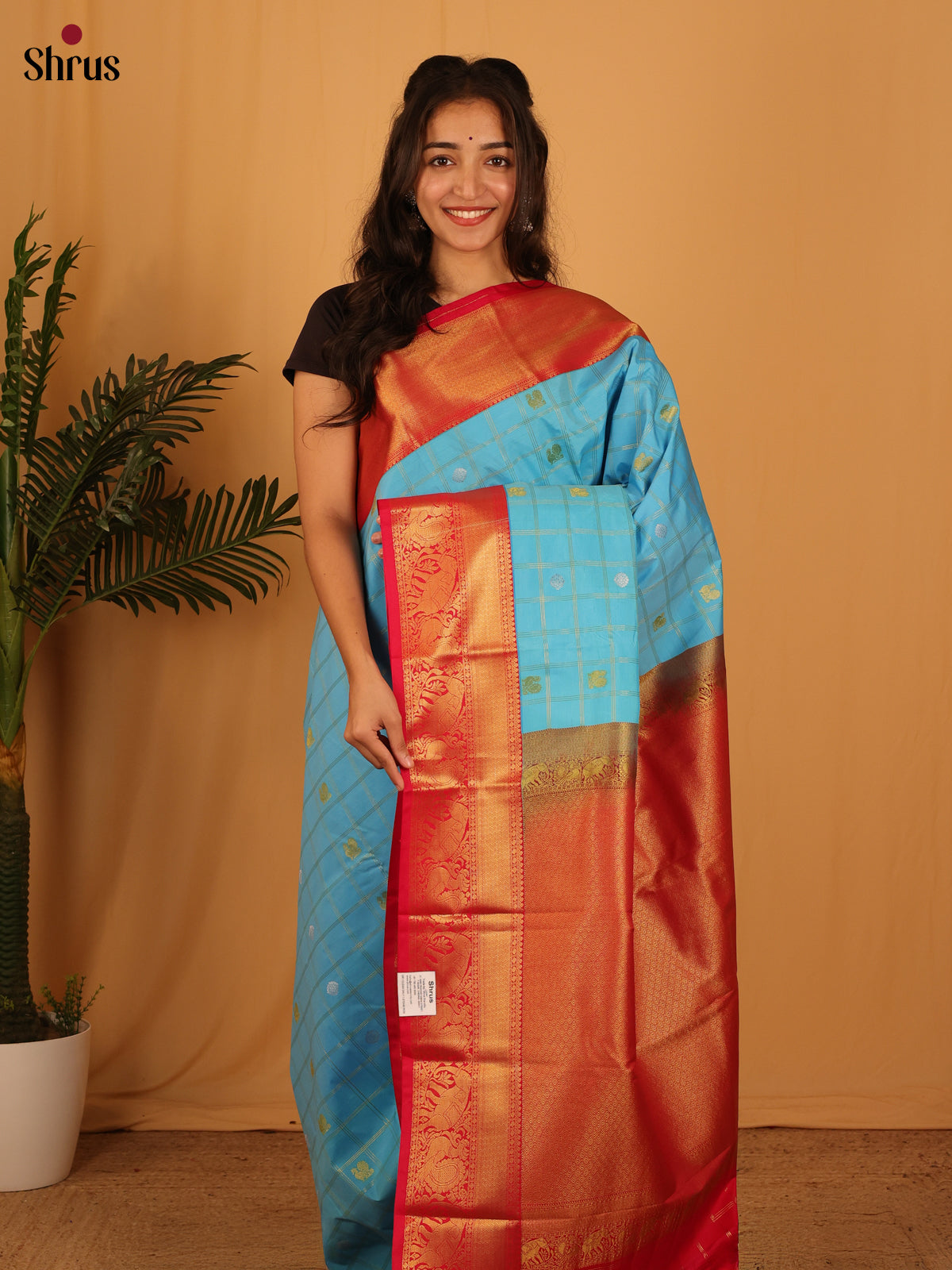 Blue & Red- Bangalori silk Saree - Shop on Shrus.com