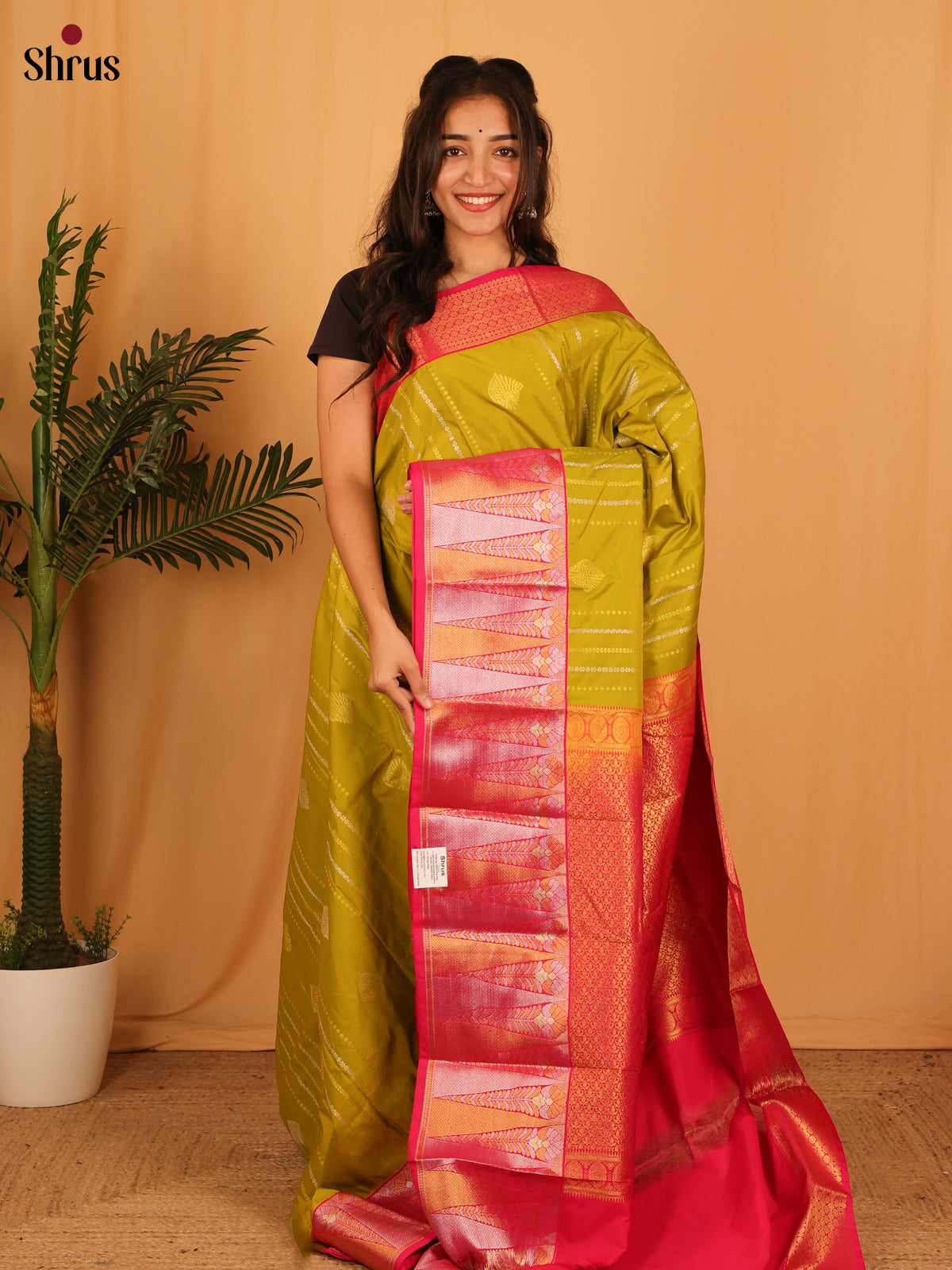 Lime Green & Reddish Pink - Bangalori silk Saree - Shop on Shrus.com