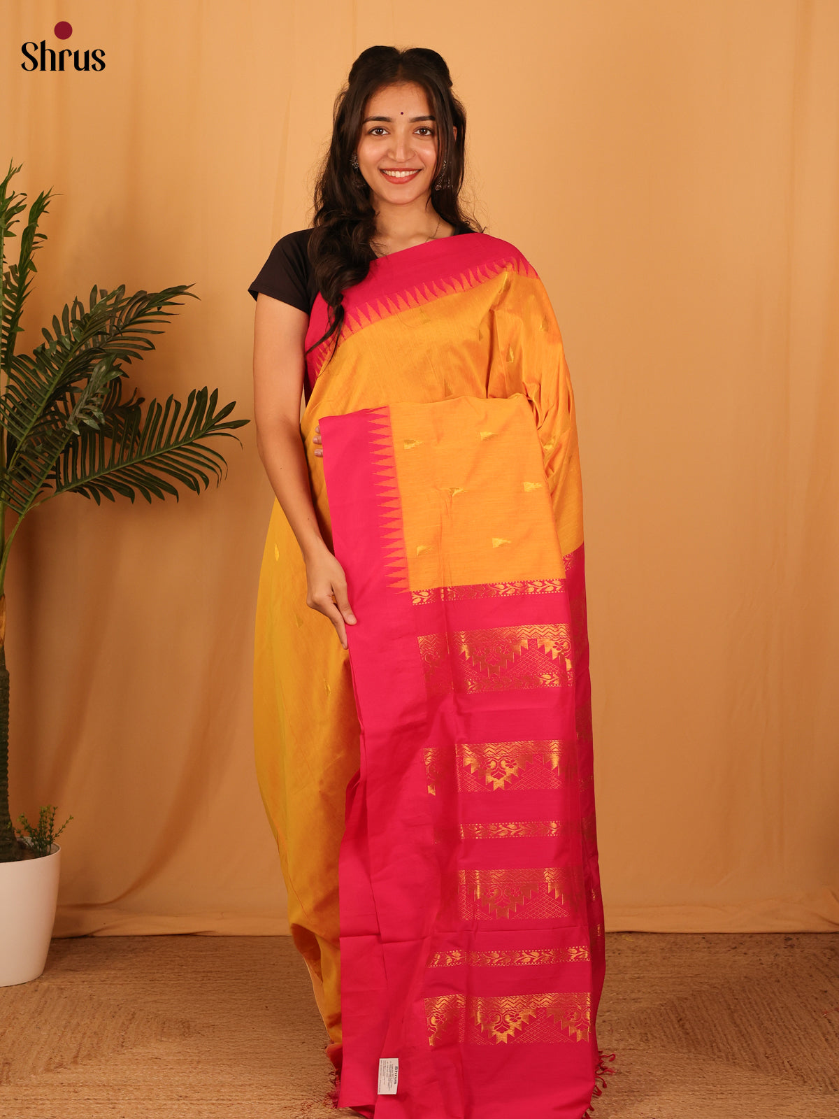 Mustard & Pink - Kalyani Cotton Saree - Shop on Shrus.com