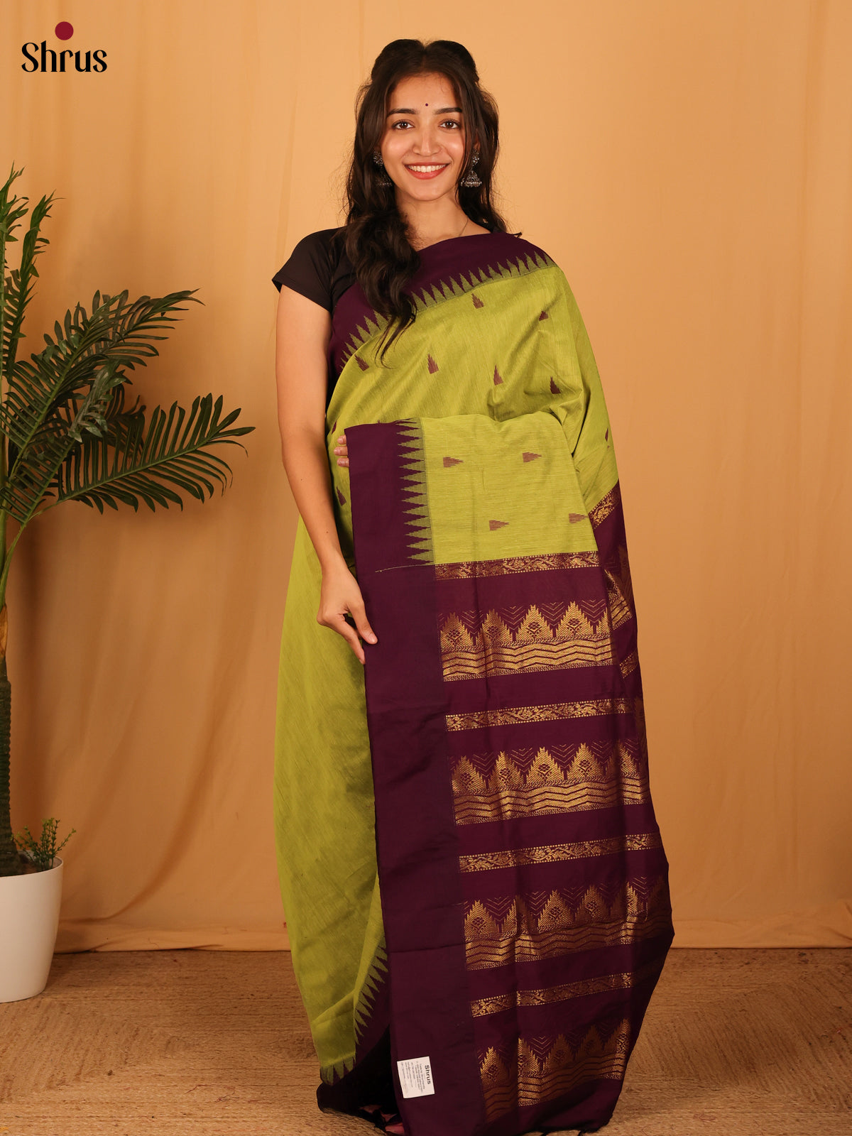 Green & Violet - Kalyani Cotton Saree - Shop on Shrus.com