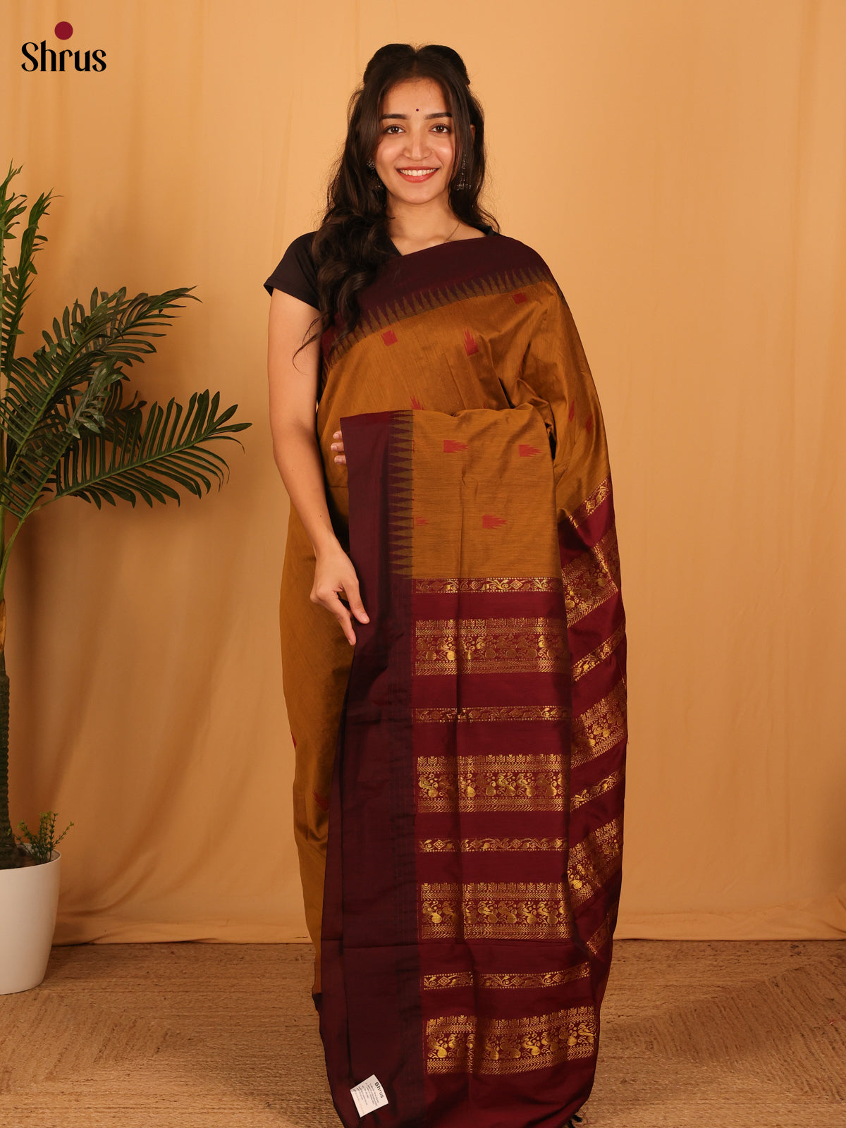Dark Mustard & Maroon- Kalyani Cotton Saree - Shop on Shrus.com