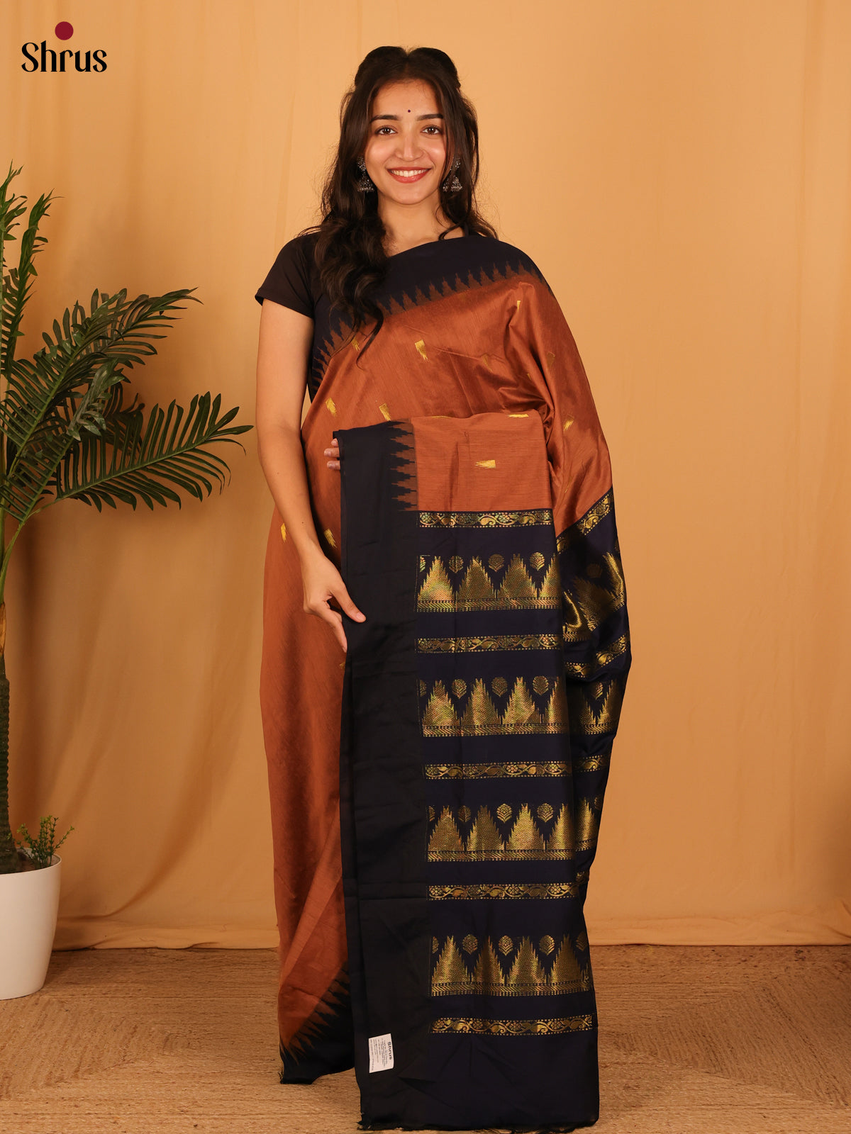 Brown & Blue- Kalyani Cotton Saree - Shop on Shrus.com