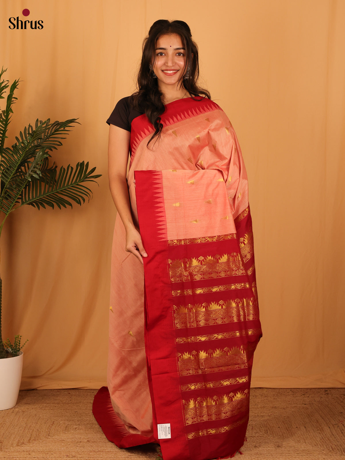 Peach & Maroon - Kalyani Cotton Saree - Shop on Shrus.com