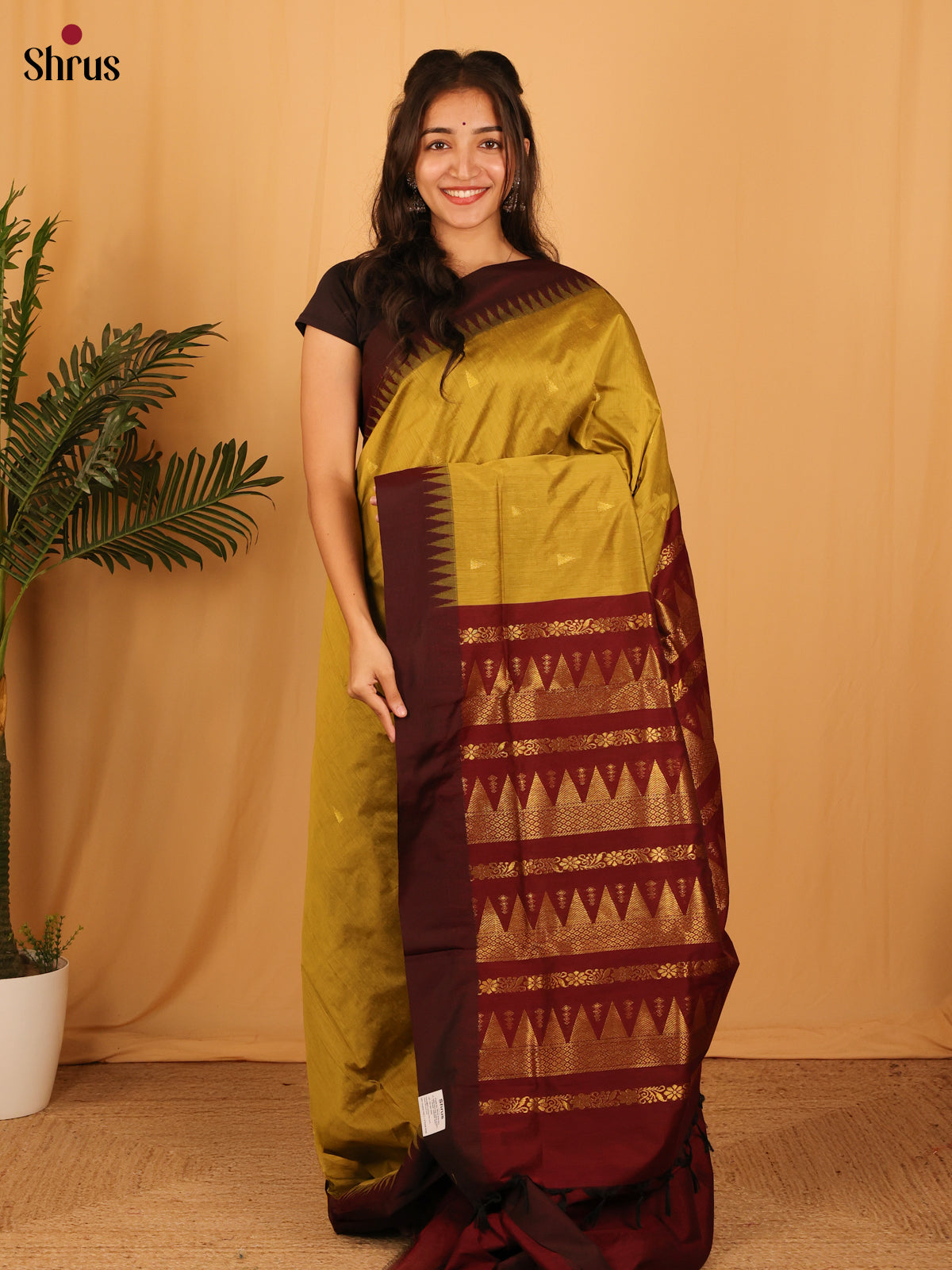 Mustardy Green & Arakku Maroon- Kalyani Cotton Saree - Shop on Shrus.com