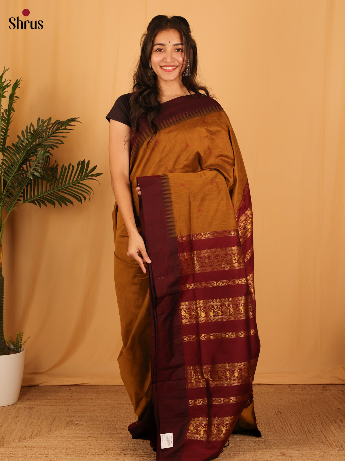 Mustard & Brown- Kalyani Cotton Saree - Shop on Shrus.com