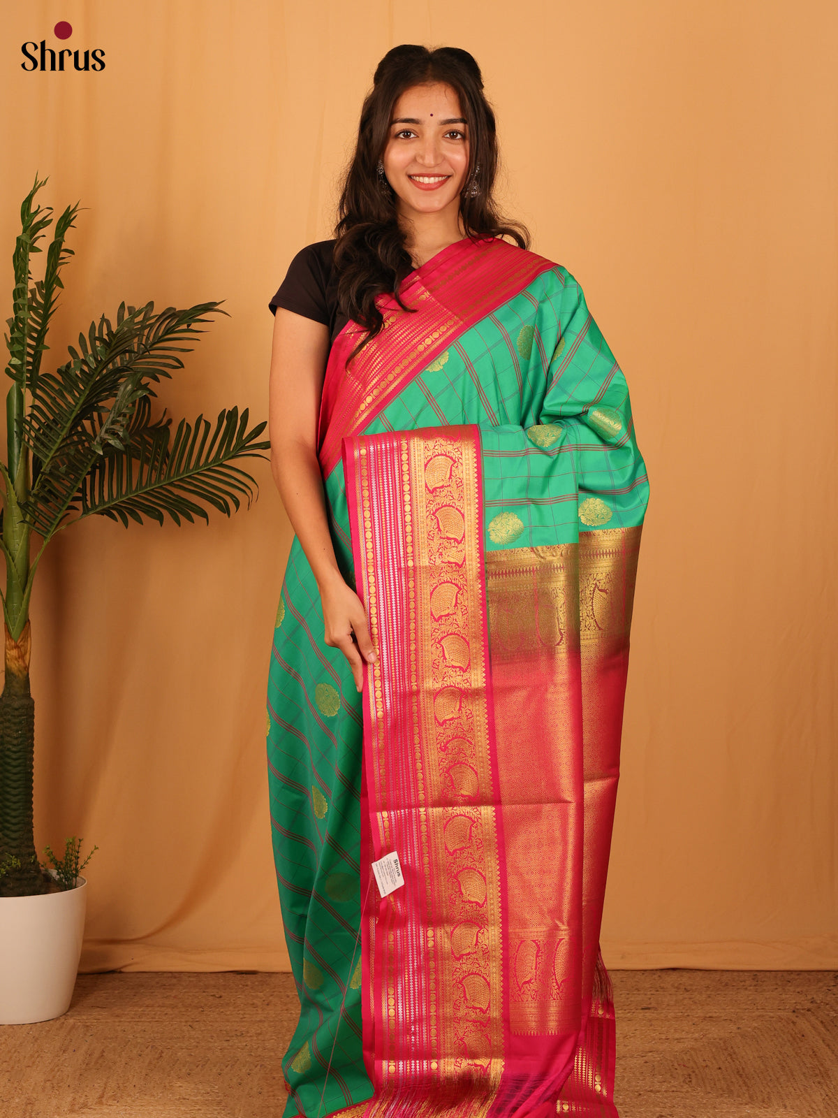 Green & Pink - Bangalori silk Saree - Shop on Shrus.com