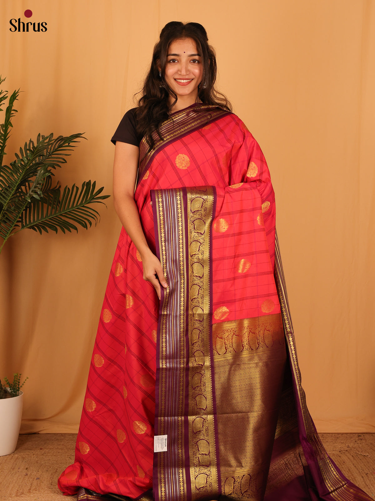 Reddish Pink & Dark Purple - Bangalori silk Saree - Shop on Shrus.com