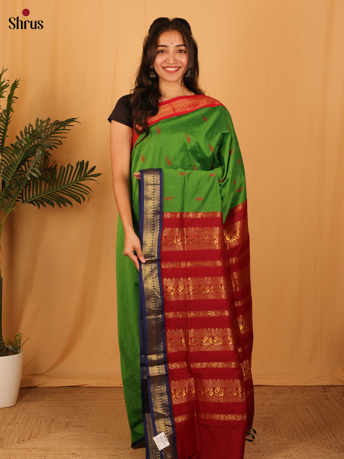 Kalyani Cotton Saree - Ash Grey with Dark Green