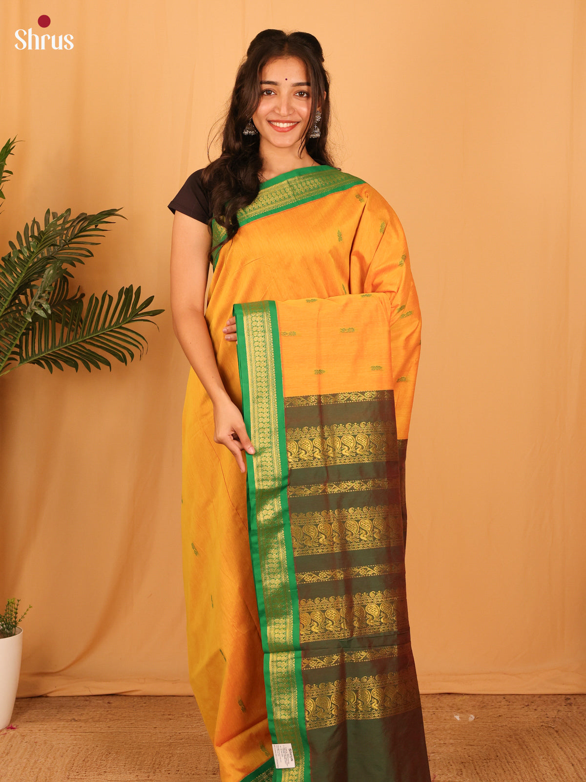 Mambazha Yellow & Green - Kalyani Cotton Saree - Shop on Shrus.com
