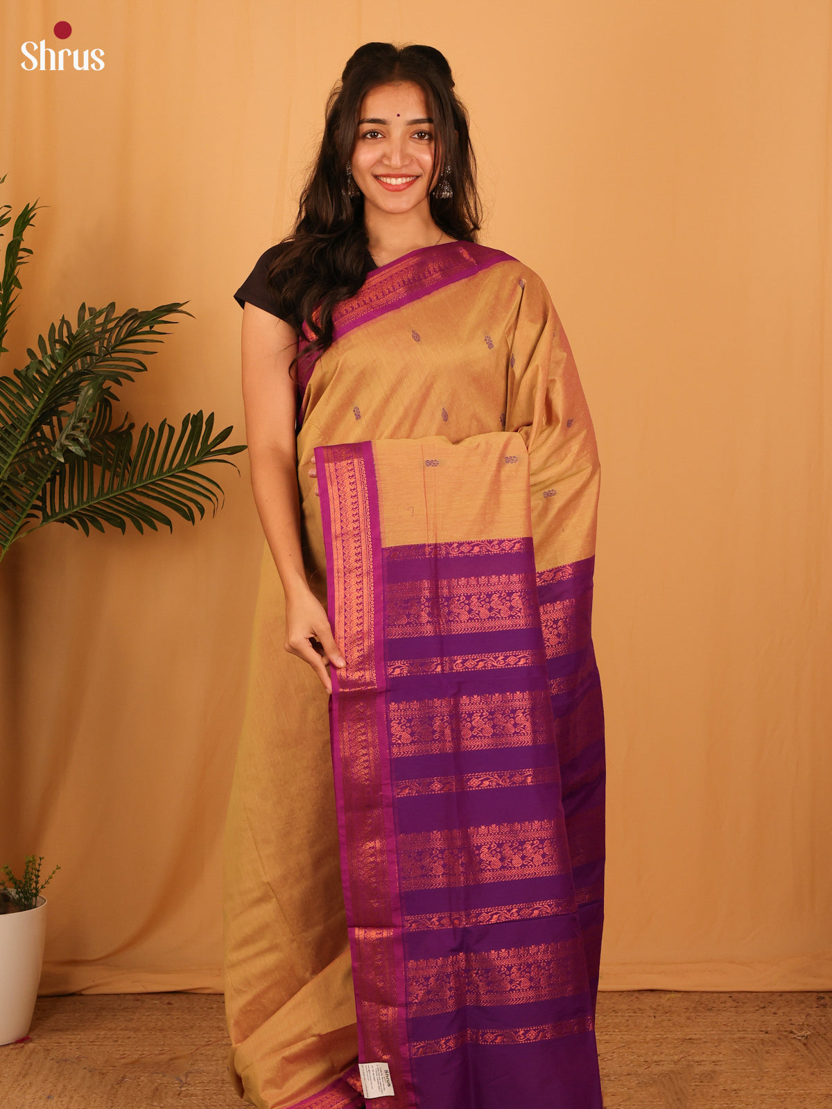 Brown & Violet - Kalyani Cotton Saree - Shop on Shrus.com