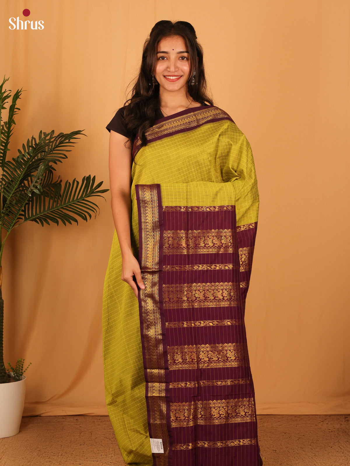 Lite Green & maroon - Kalyani Cotton Saree - Shop on Shrus.com