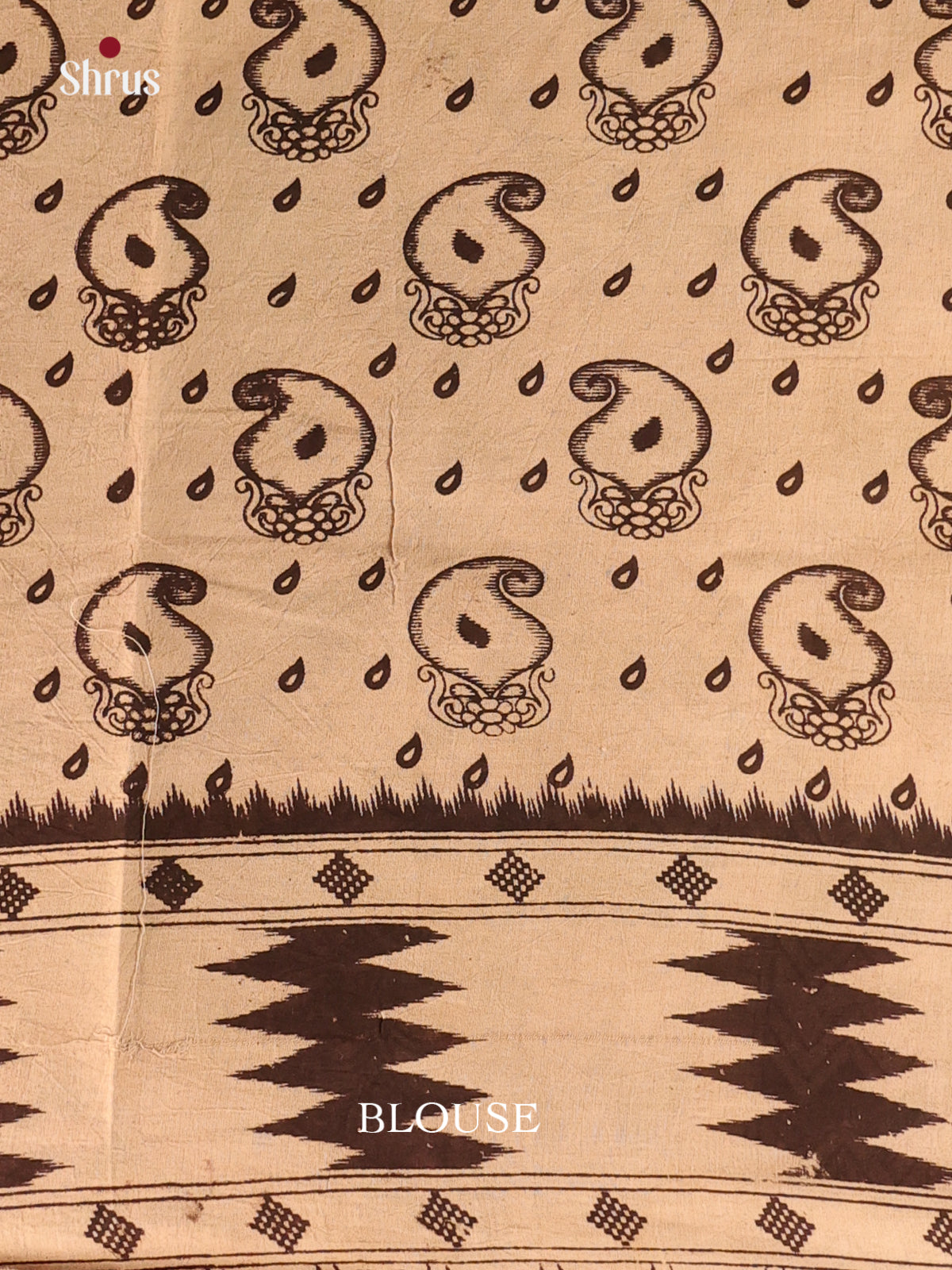 Beige & Green - kalamkari-cotton Saree - Shop on Shrus.com