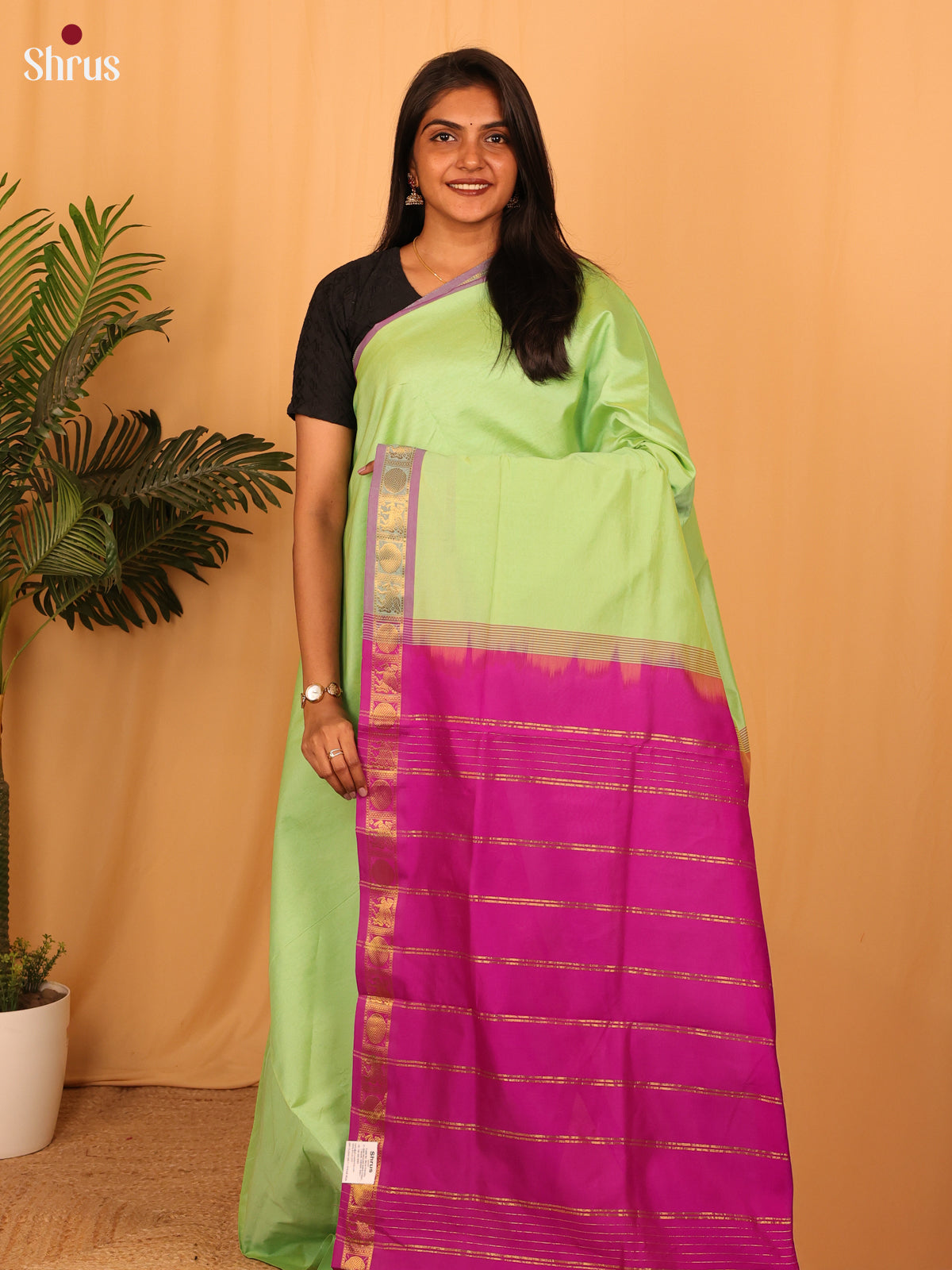 Pista Green & Pink - Silkcotton-halfpure Saree - Shop on Shrus.com
