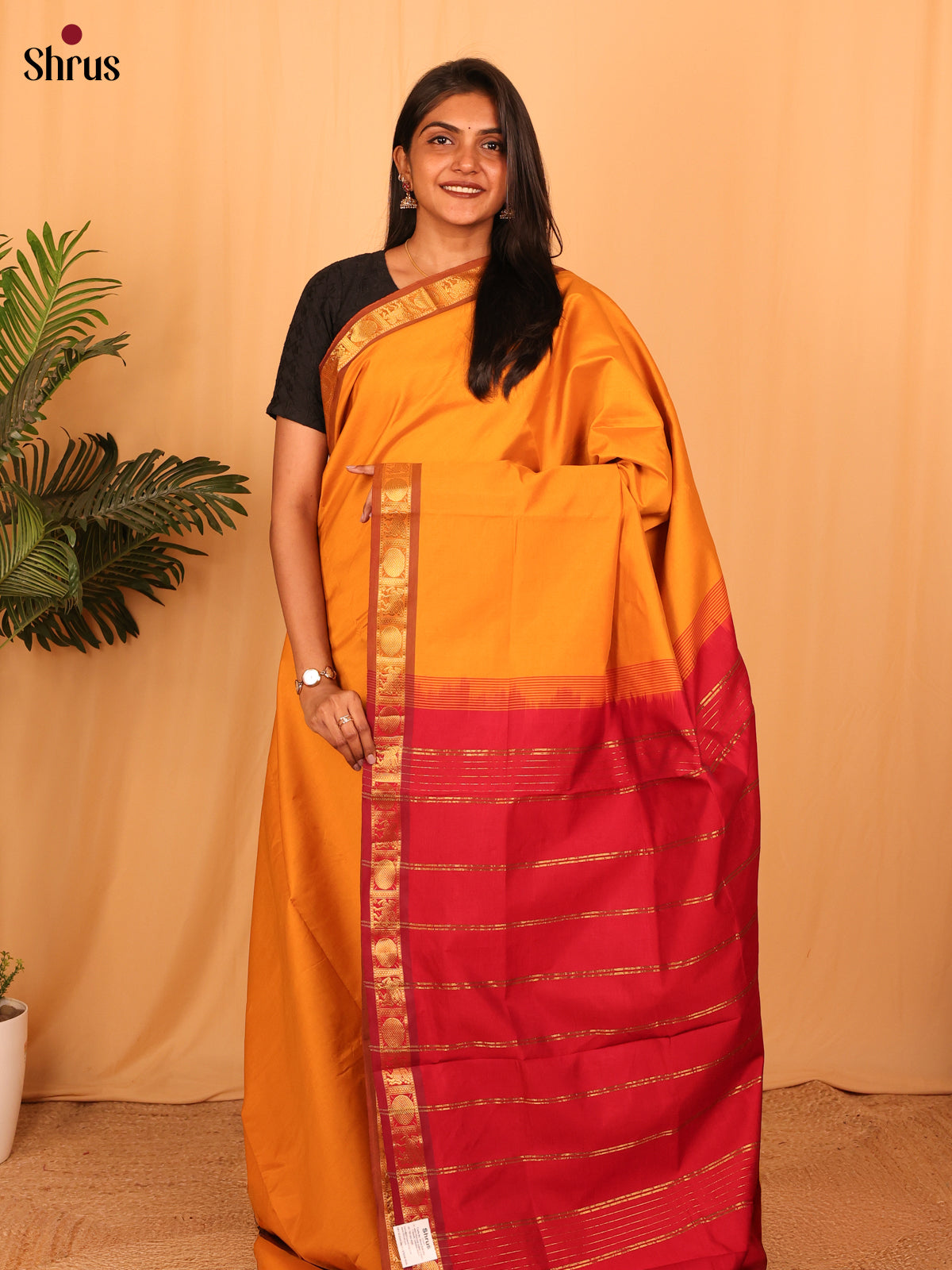 Mustard & Red - Silkcotton-halfpure Saree - Shop on Shrus.com