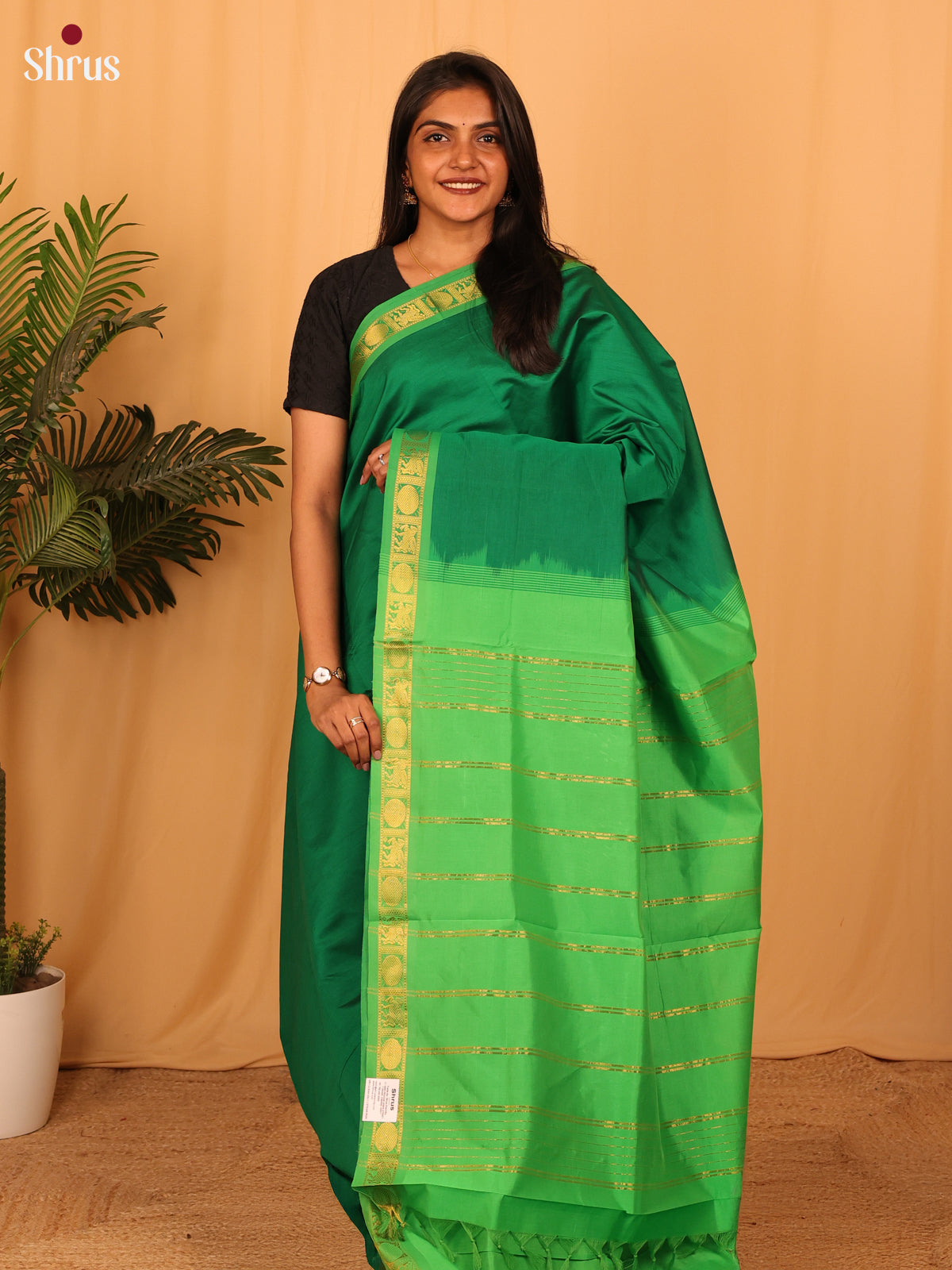 Green & Lite Green - Silkcotton-halfpure Saree - Shop on Shrus.com