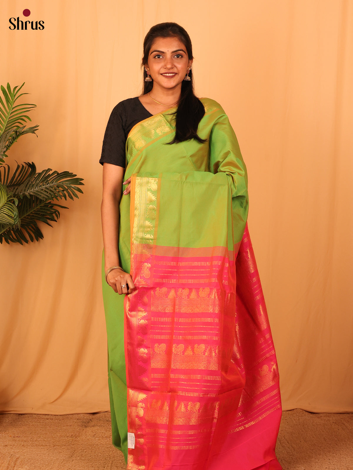 Green & Pink - Silkcotton-halfpure Saree - Shop on Shrus.com