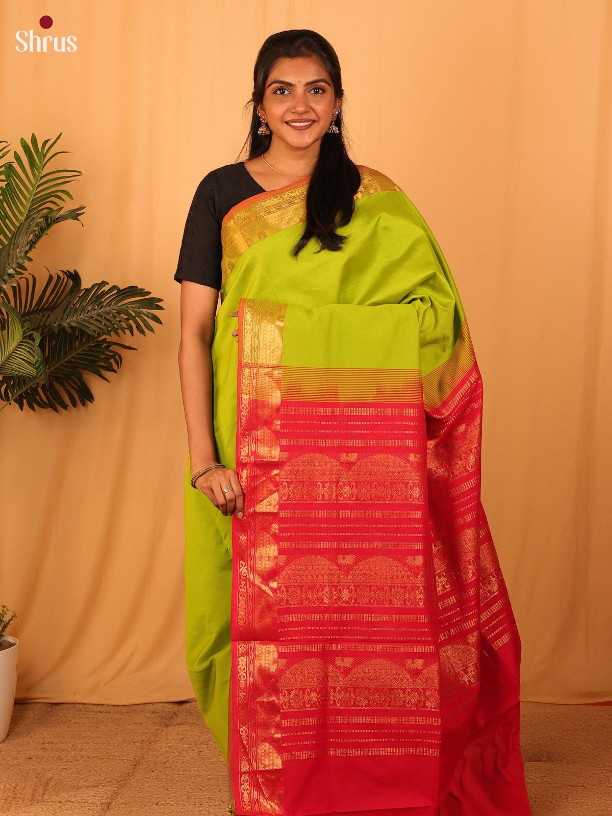 Green & Red - Silkcotton-halfpure Saree - Shop on Shrus.com