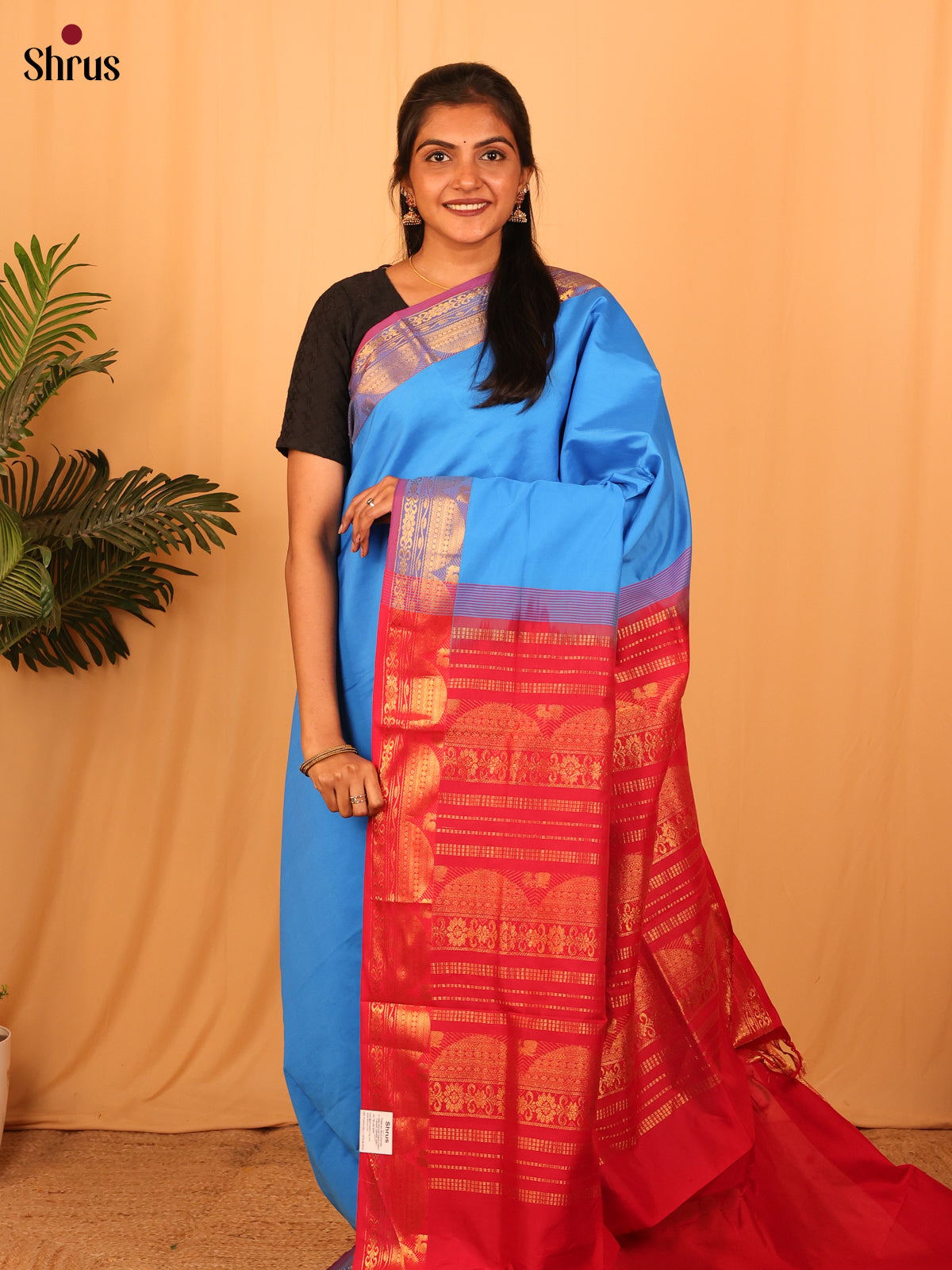 Blue & Red - Silkcotton-halfpure Saree - Shop on Shrus.com