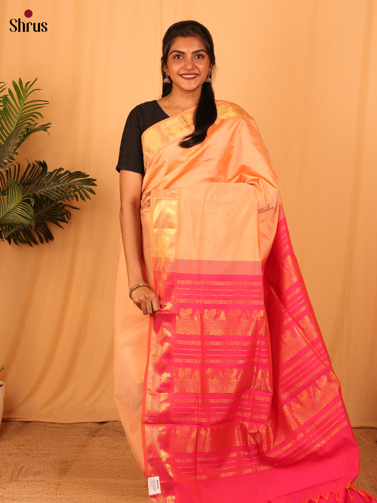 Peach & pink - Silkcotton-halfpure Saree - Shop on Shrus.com