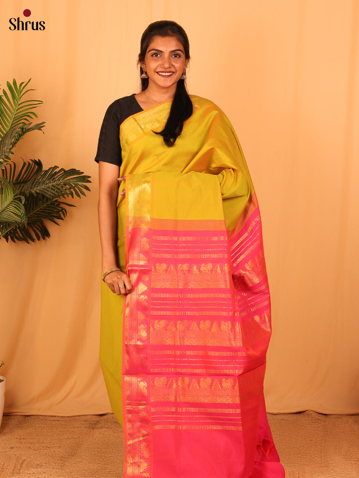 Mustardy Green & Pink- Silkcotton-halfpure Saree - Shop on Shrus.com