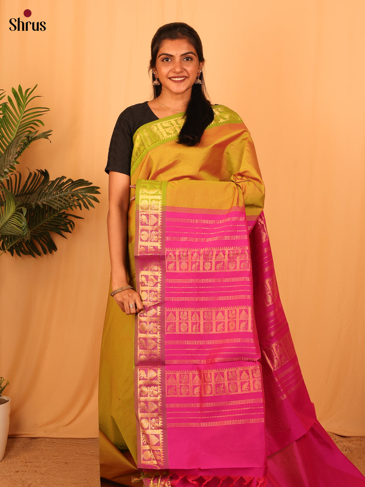 Green & Pink - Silkcotton-halfpure Saree - Shop on Shrus.com