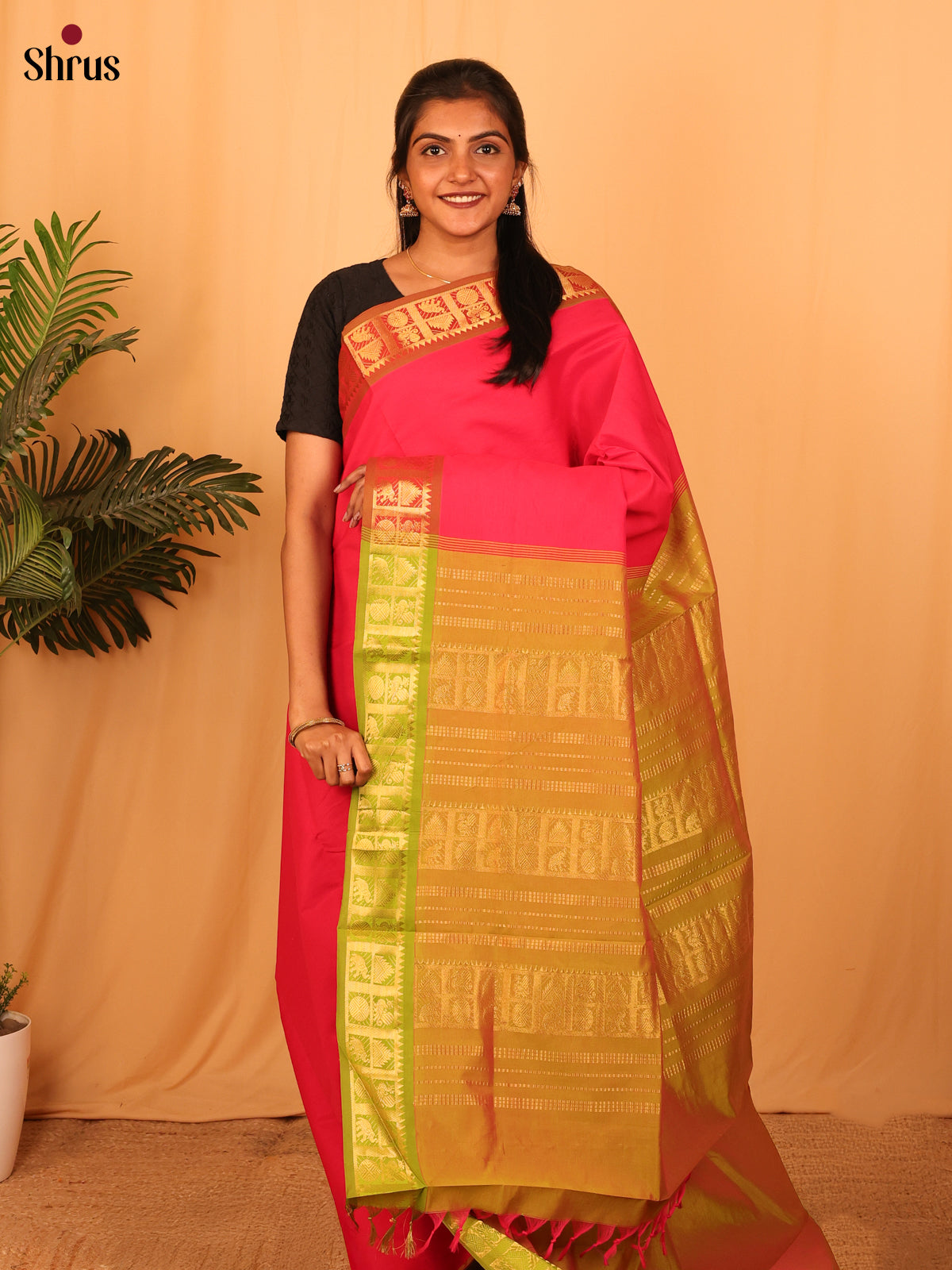 Reddish Pink & Green - Silkcotton-halfpure Saree - Shop on Shrus.com