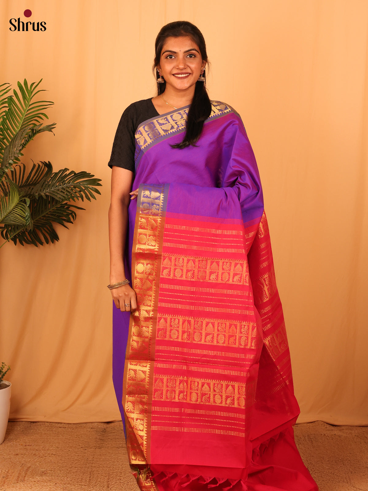 Violet & Red - Silkcotton-halfpure Saree - Shop on Shrus.com