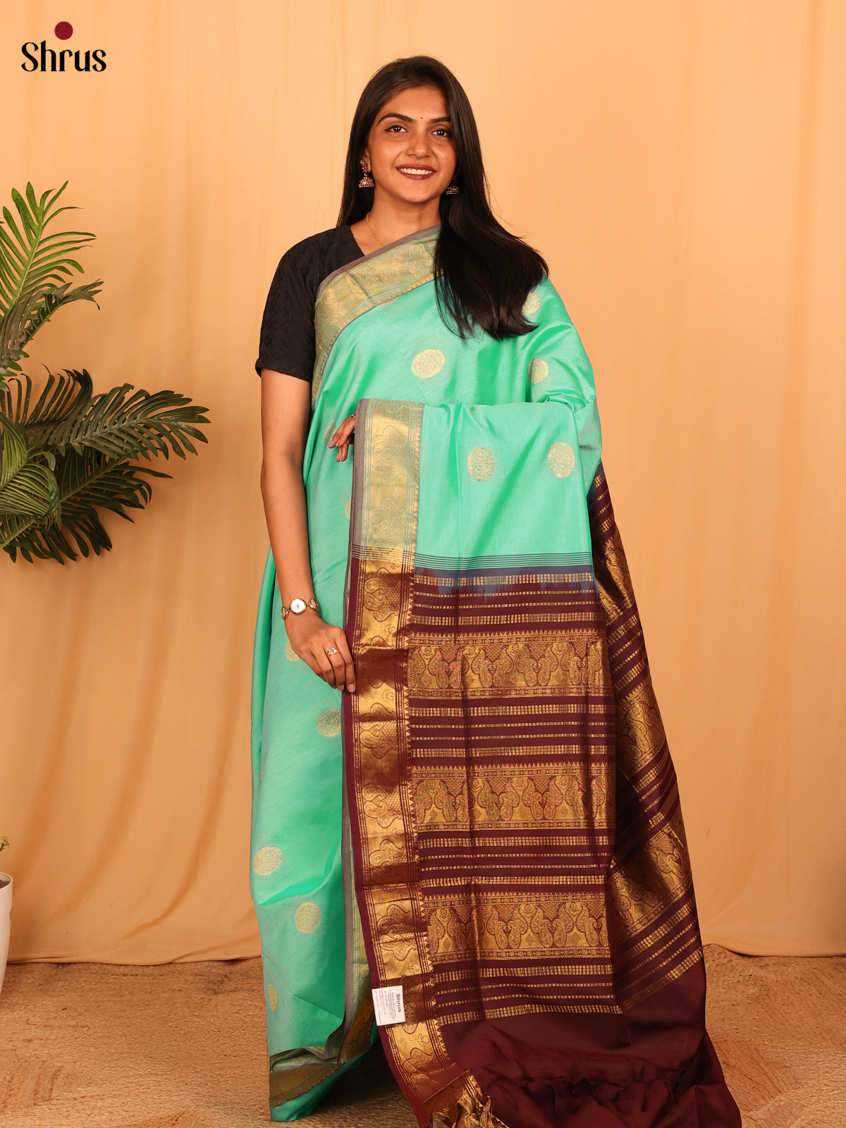 Teal Green & Brown- Silkcotton-halfpure Saree - Shop on Shrus.com