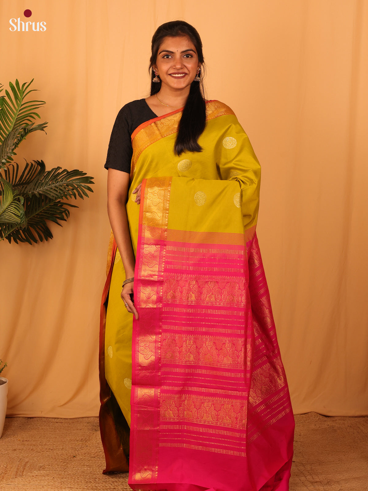 Mustardy Green & Pink - Silkcotton-halfpure Saree - Shop on Shrus.com