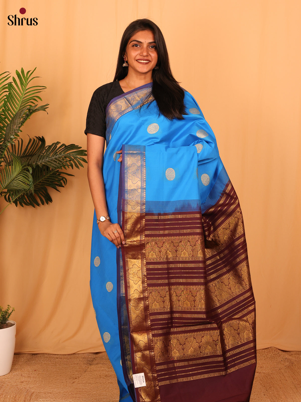 Blue & Brown - Silkcotton-halfpure Saree - Shop on Shrus.com
