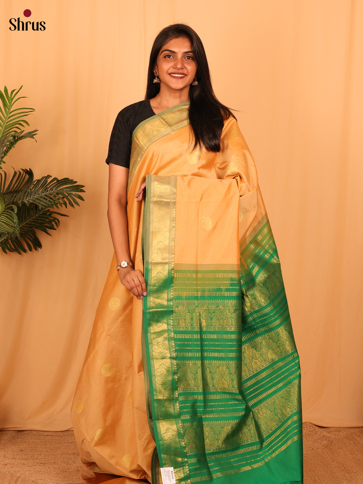 Peach & Green - Silkcotton-halfpure Saree - Shop on Shrus.com