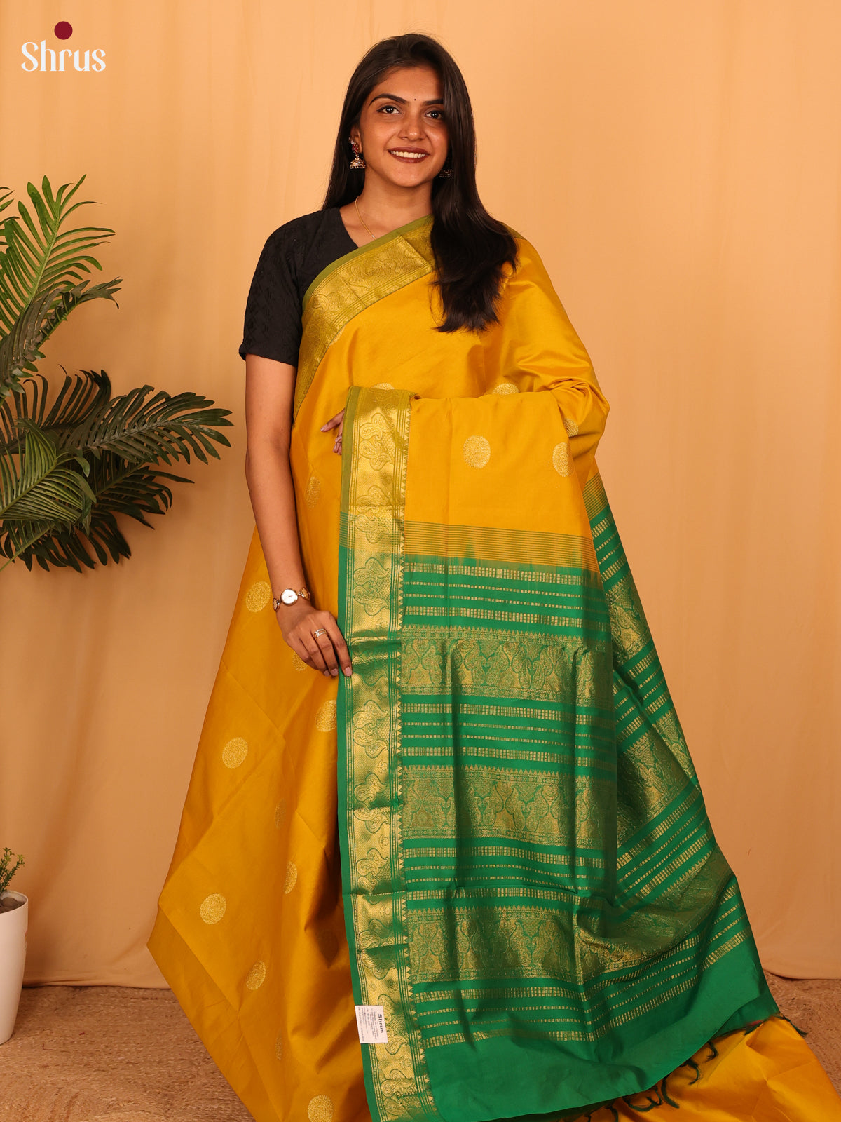 Mustard & Green - Silkcotton-halfpure Saree - Shop on Shrus.com
