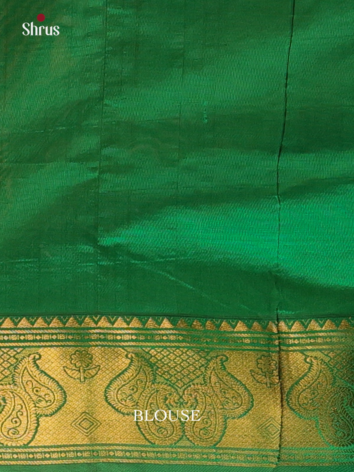 Pista Green & Green - Silkcotton-halfpure Saree - Shop on Shrus.com
