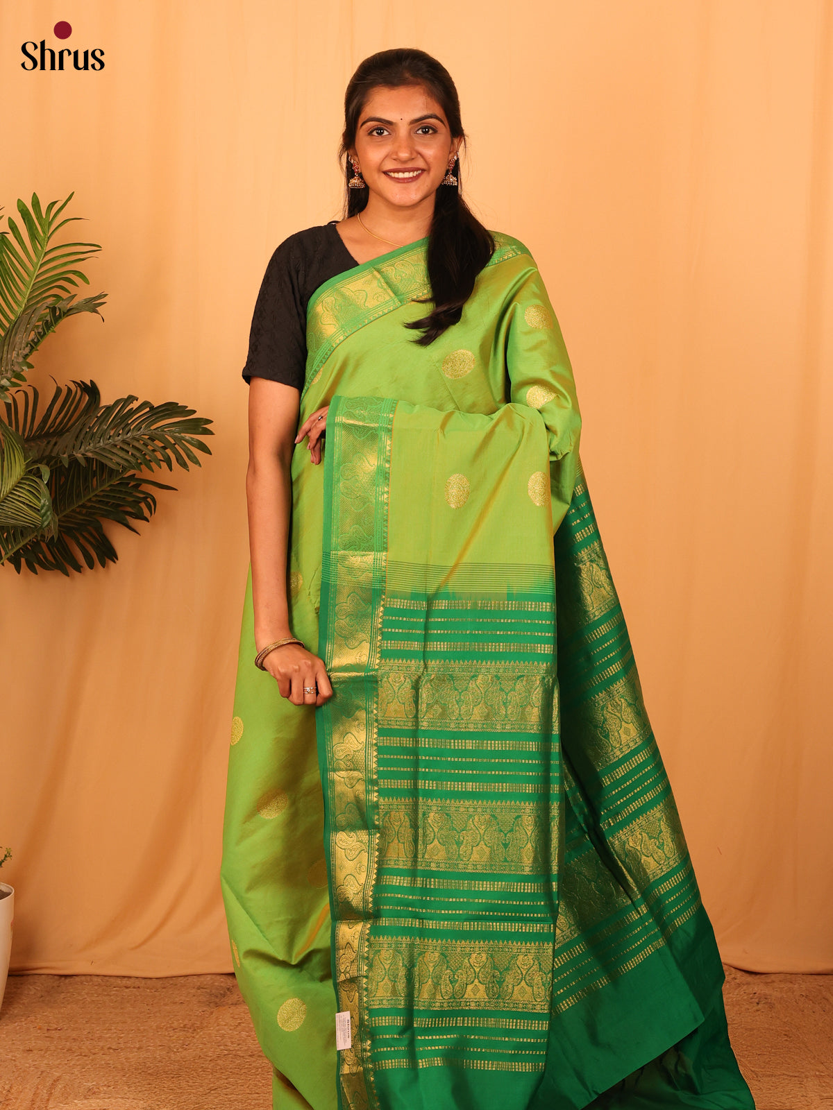 Pista Green & Green - Silkcotton-halfpure Saree - Shop on Shrus.com