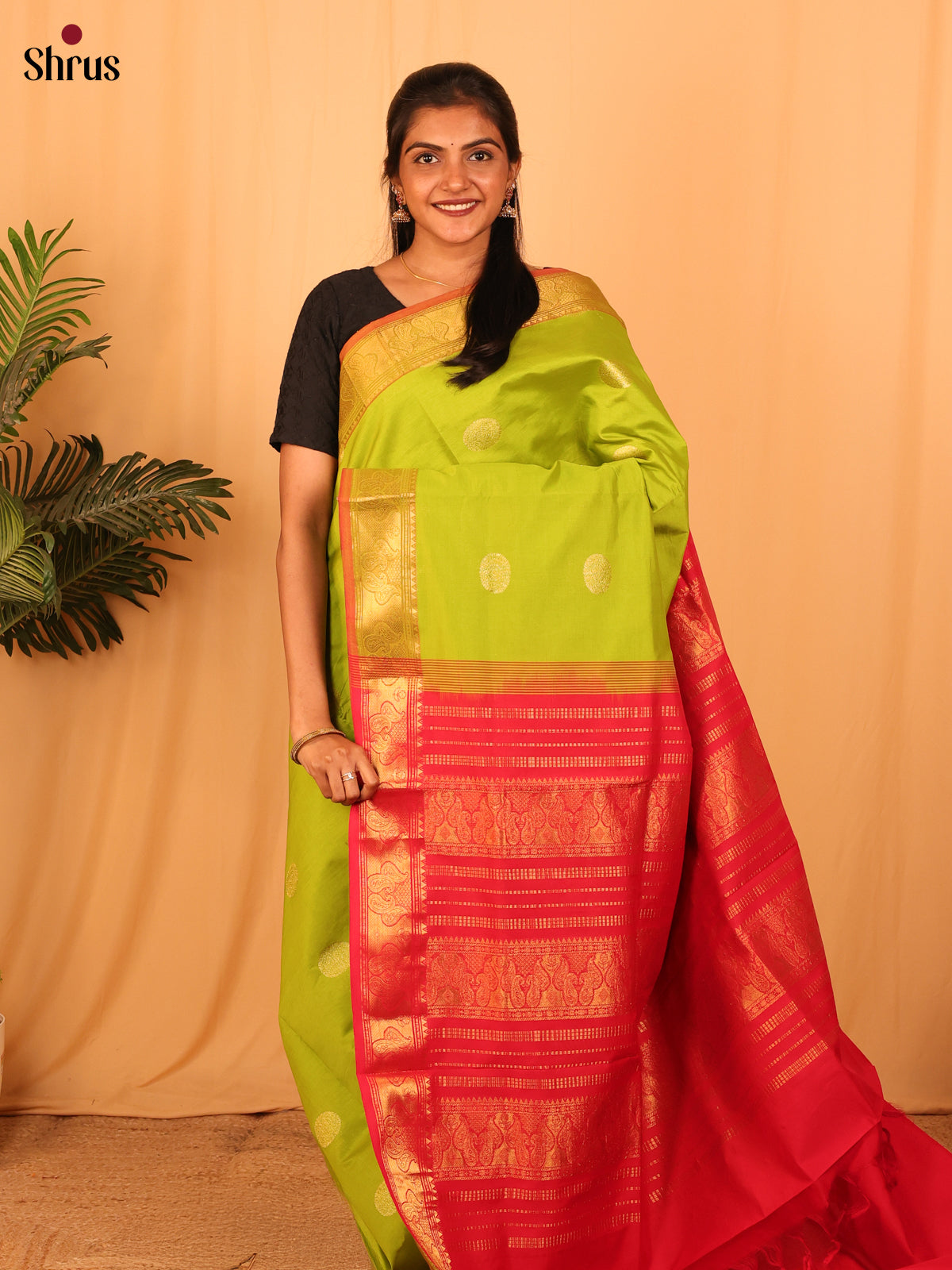 Green & Red - Silkcotton-halfpure Saree - Shop on Shrus.com