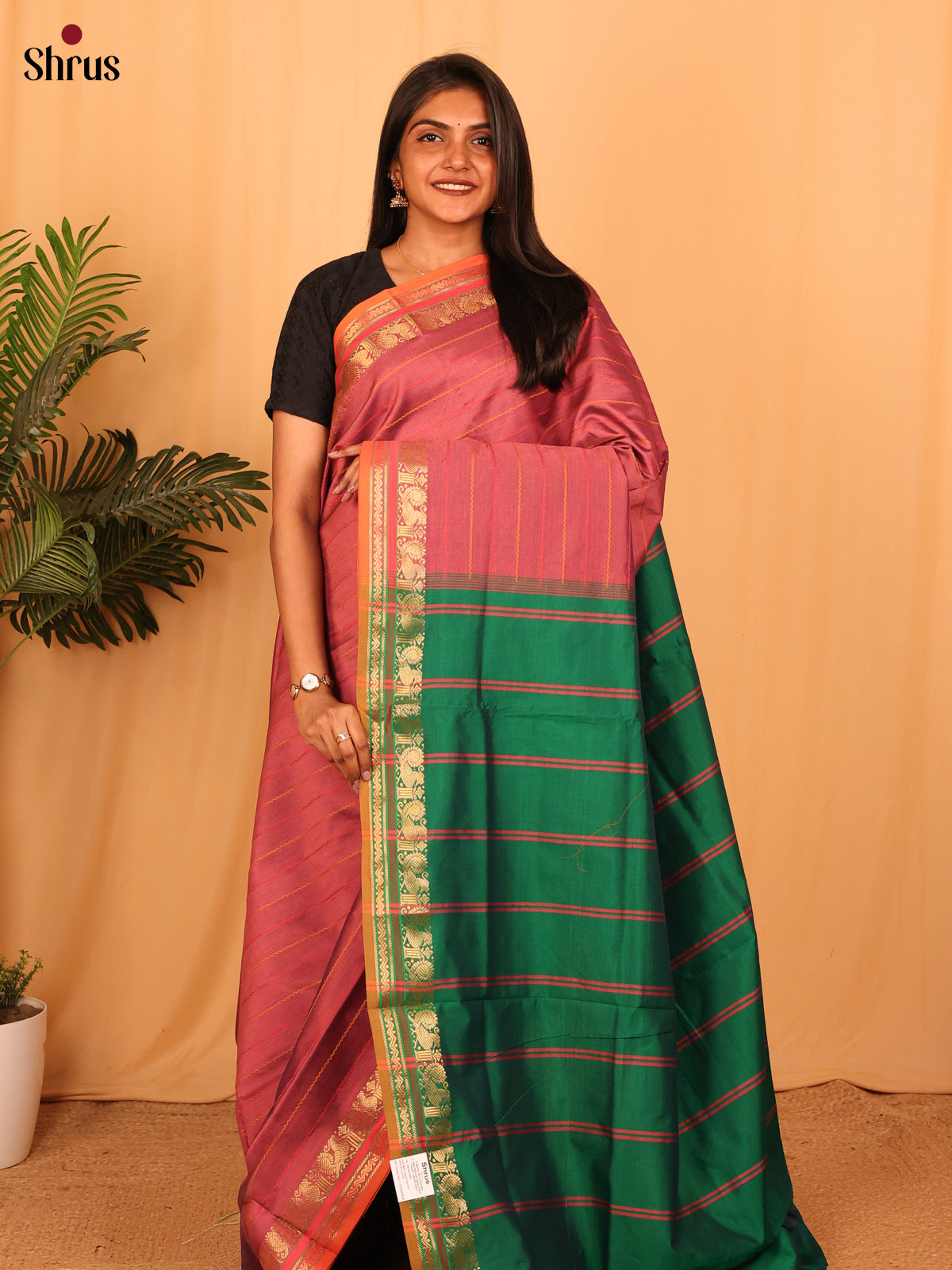 Pink & Green - Silkcotton-halfpure Saree - Shop on Shrus.com