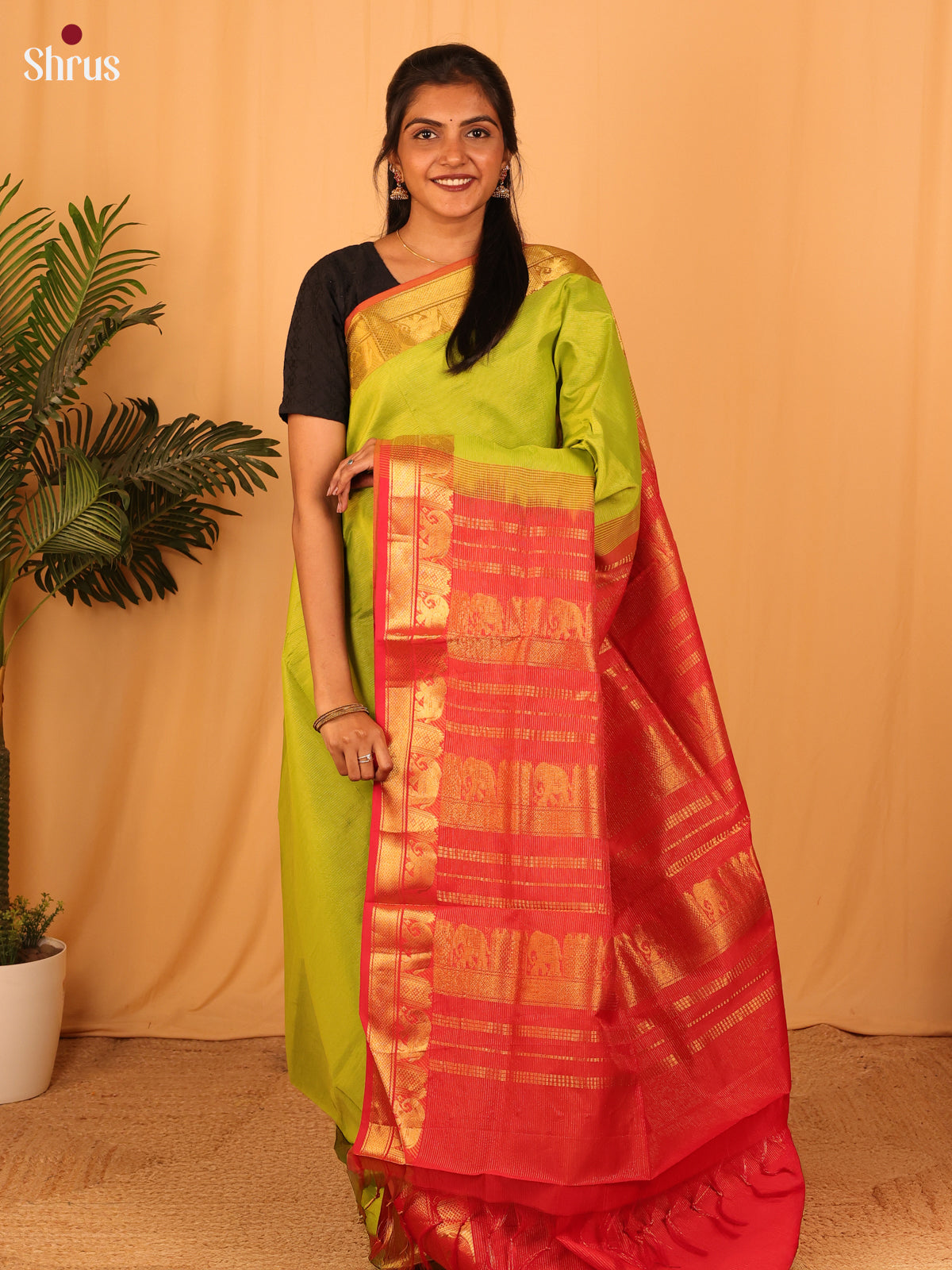 Green & Red - Silkcotton-halfpure Saree - Shop on Shrus.com