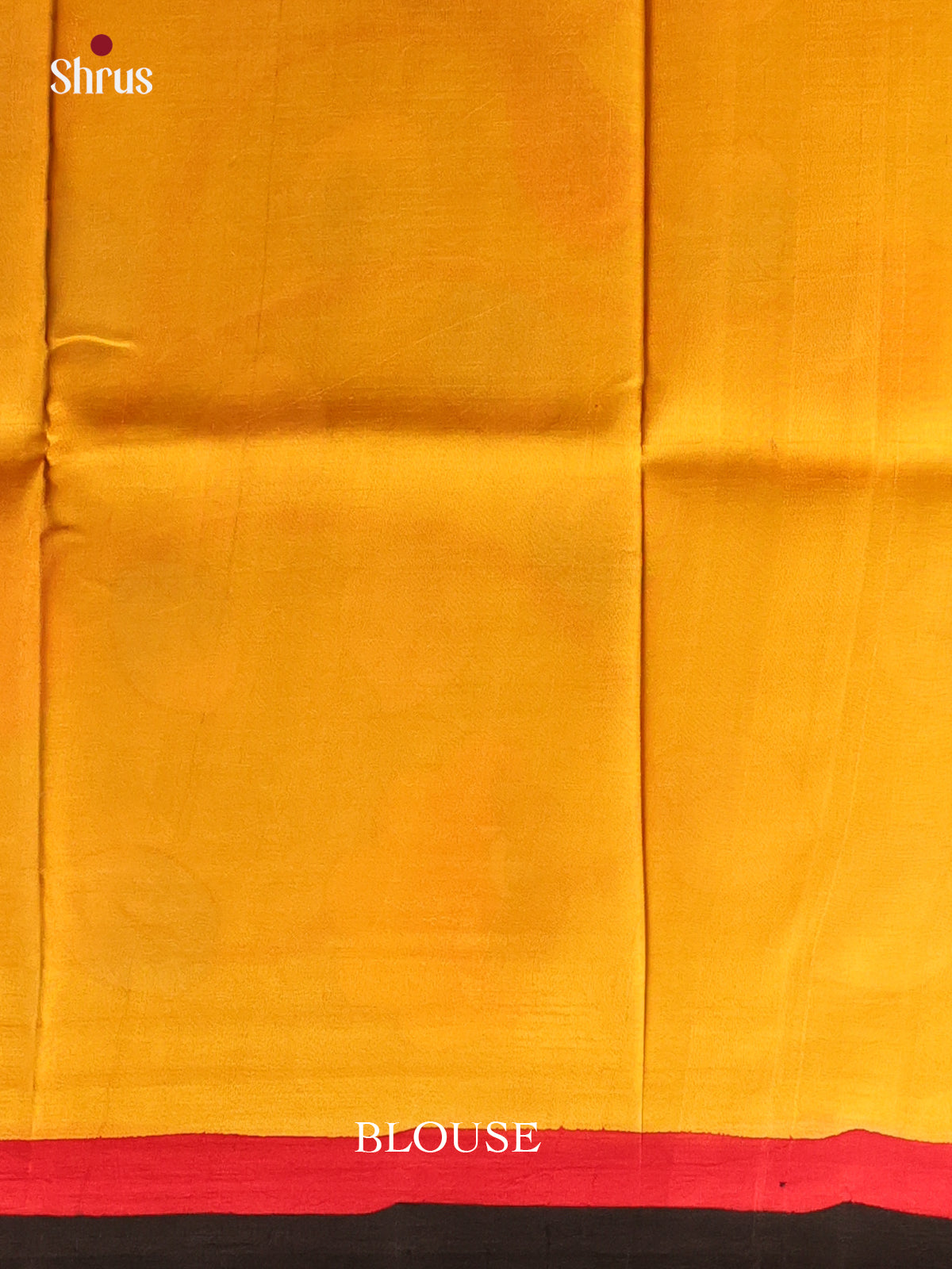 Mustard & Green - Murshidabad Silk Saree - Shop on Shrus.com