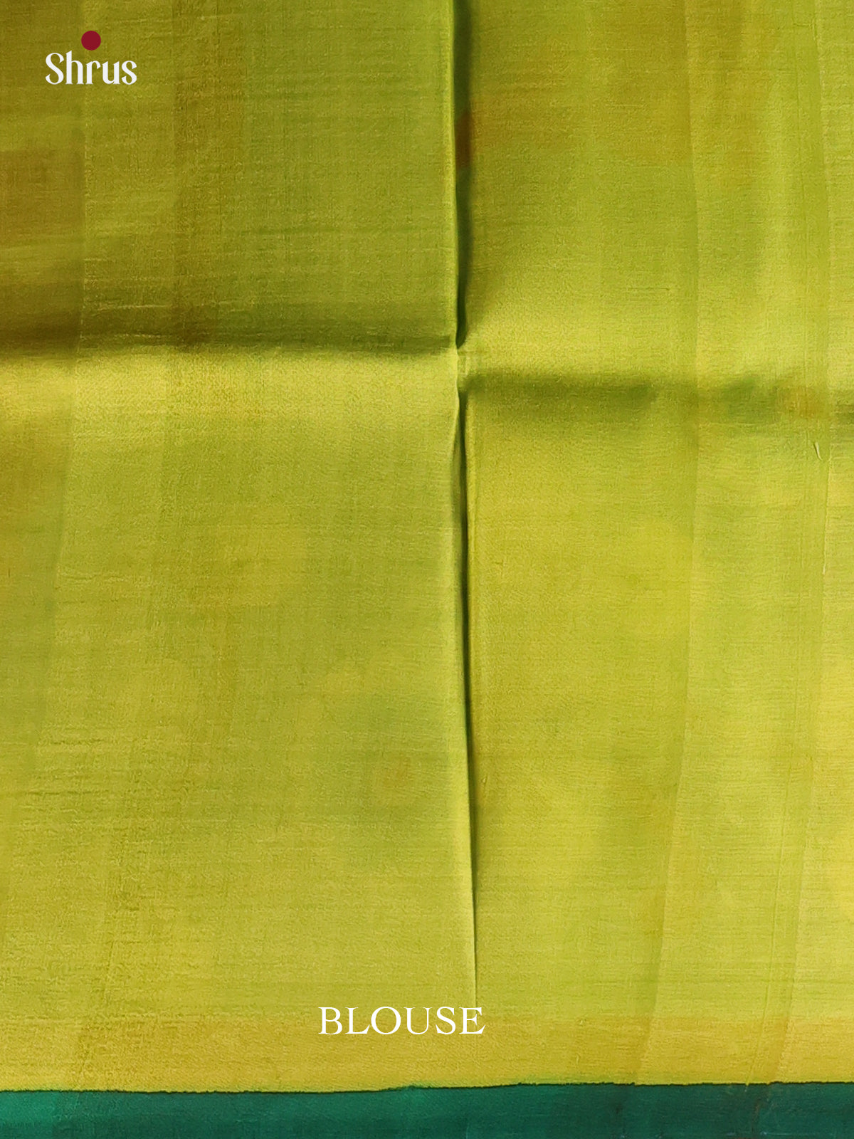 Green & Blue - Murshidabad Silk Saree-2