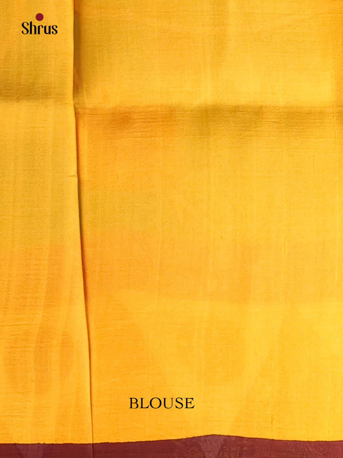 Green & Mustard- Murshidabad Silk Saree-2